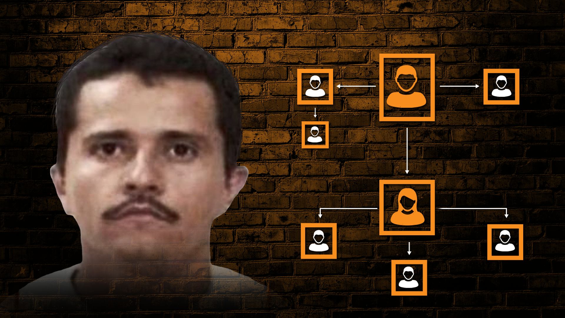 Los vínculos establecidos entre el CJNG y las empresas fueron detectados por el Departamento del Tesoro en EEUU (Foto: Infobae).