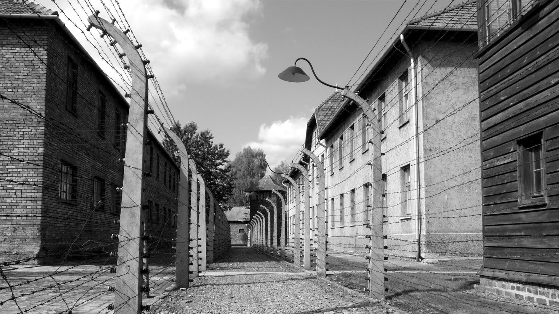 Los alambres de púa. Nadie podía escapar. A los que intentaban fugar y eran capturados, los nazis los fusilaban a la vista de los demás para que no se propagaran los intentos. A veces, además del frustrado fugitivo, como represalia, se asesinaba a otros detenidos.