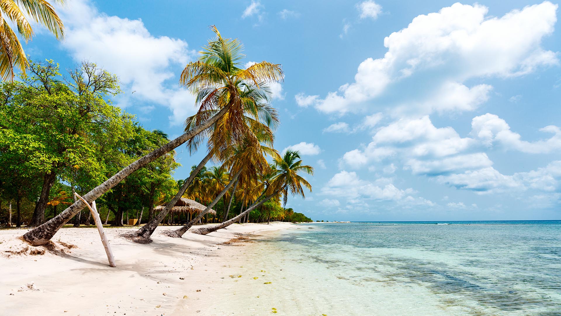Aquí solo hay un hotel, Cotton House, por lo que la mejor manera de alojarse es alquilando una de las 75 villas privadas que se ofrecen a través de Mustique Company