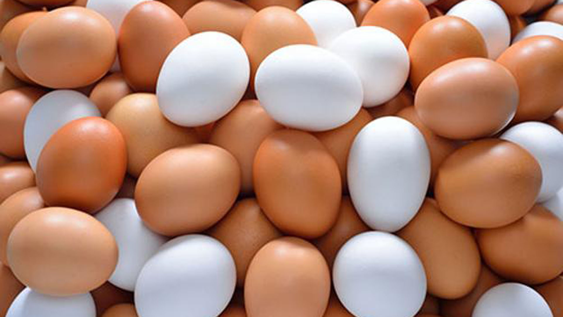 El consumo interno de huevos aumentó un 5% en 2019 y alcanzó las 284 unidades por persona.