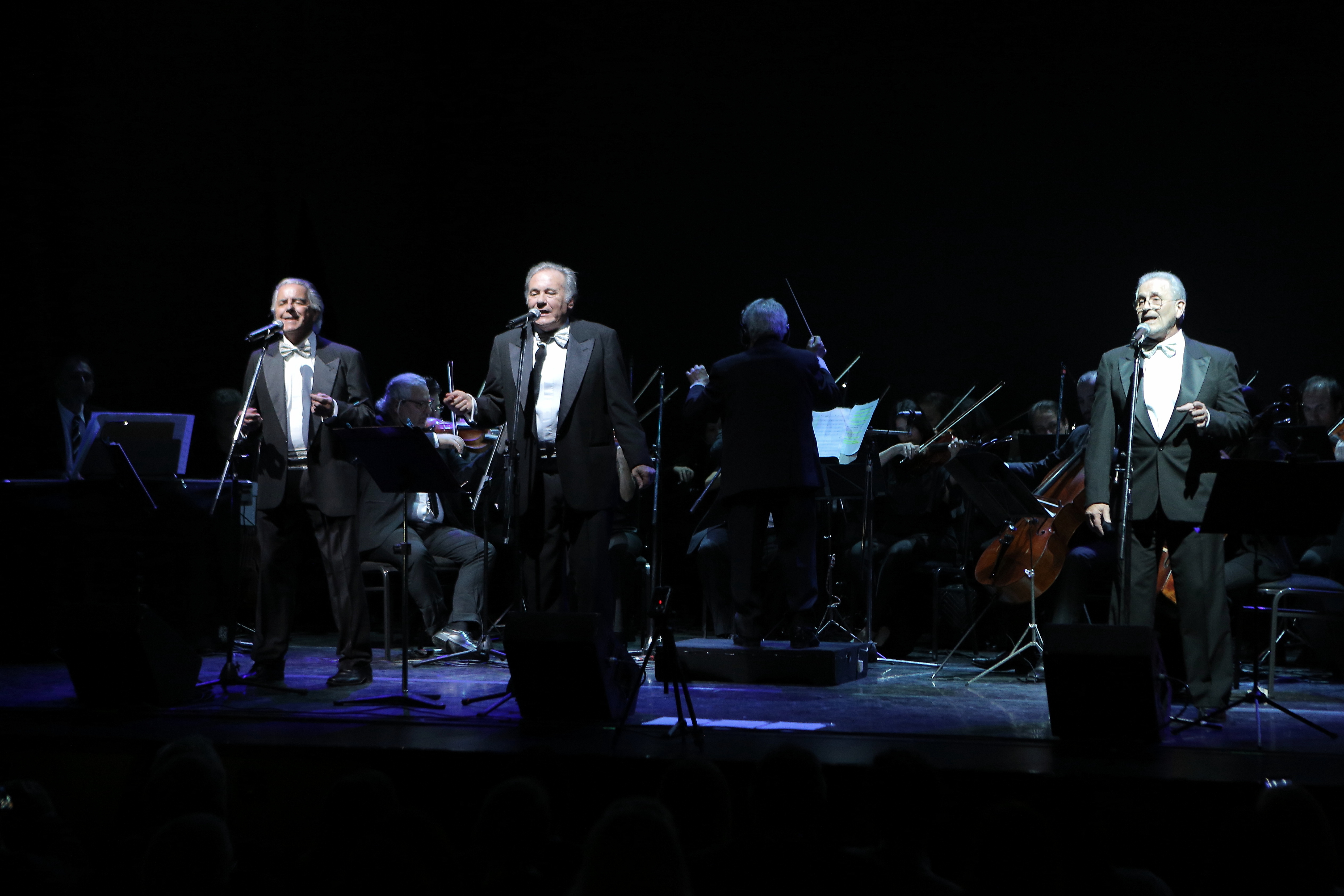 La emblemática banda beat se presentó en un show único, para festejar sus 50 años de trayectoria y colaborar con ALPI