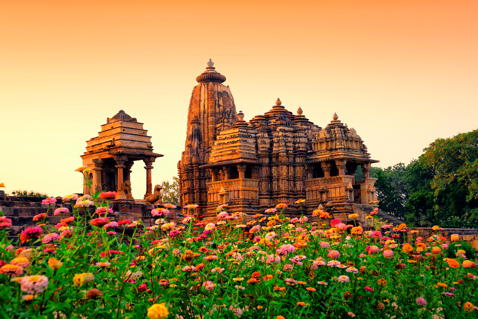Los tigres y los monos deambulan por las reservas de vida silvestre de Madhya Pradesh, que cobran tarifas mucho más bajas que los safaris en África. También hay mucha historia para sumergirse en los antiguos templos de Khajuraho, Patrimonio de la Humanidad por la UNESCO