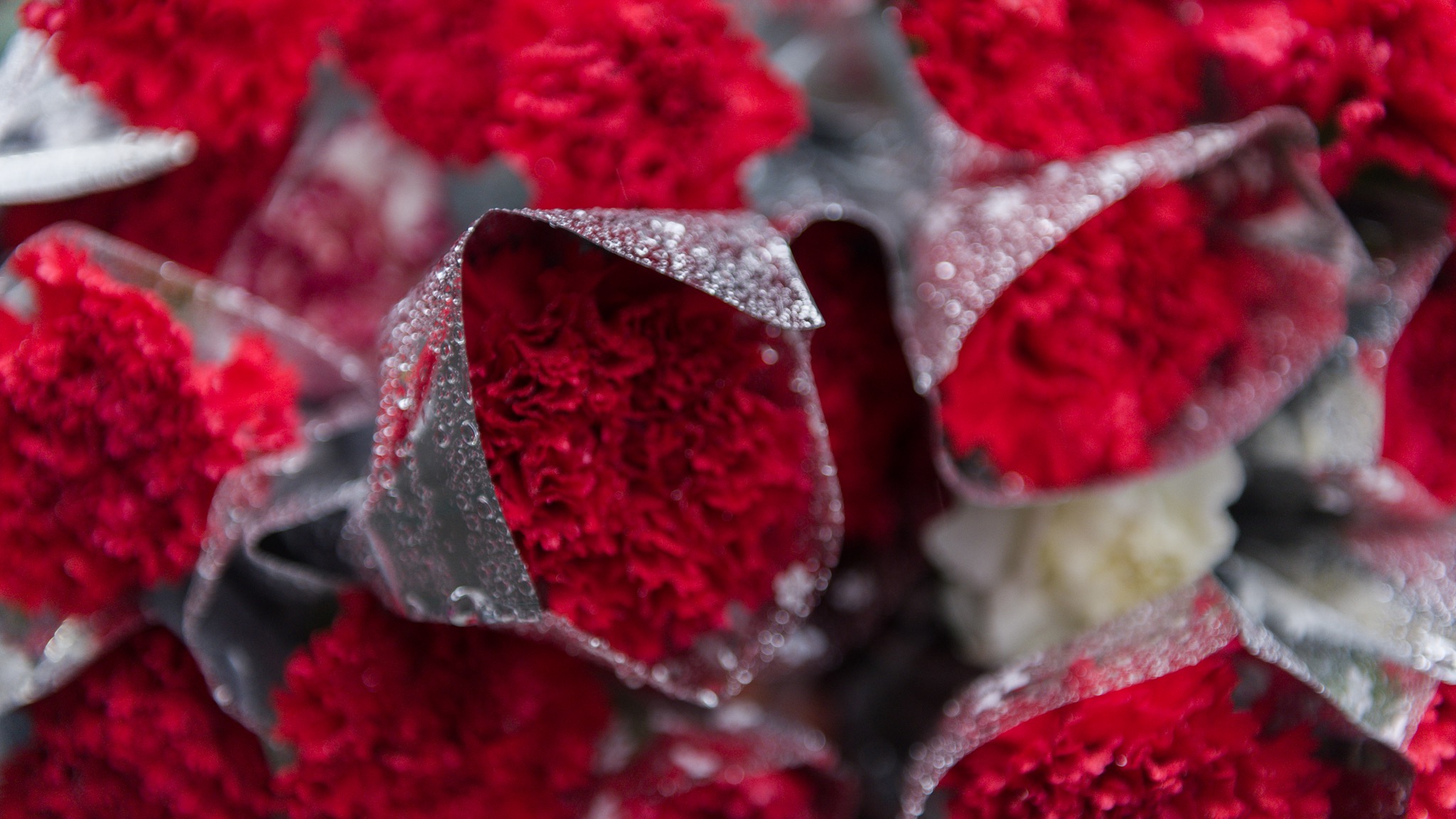 Las flores rojas, presentes en la despedida
