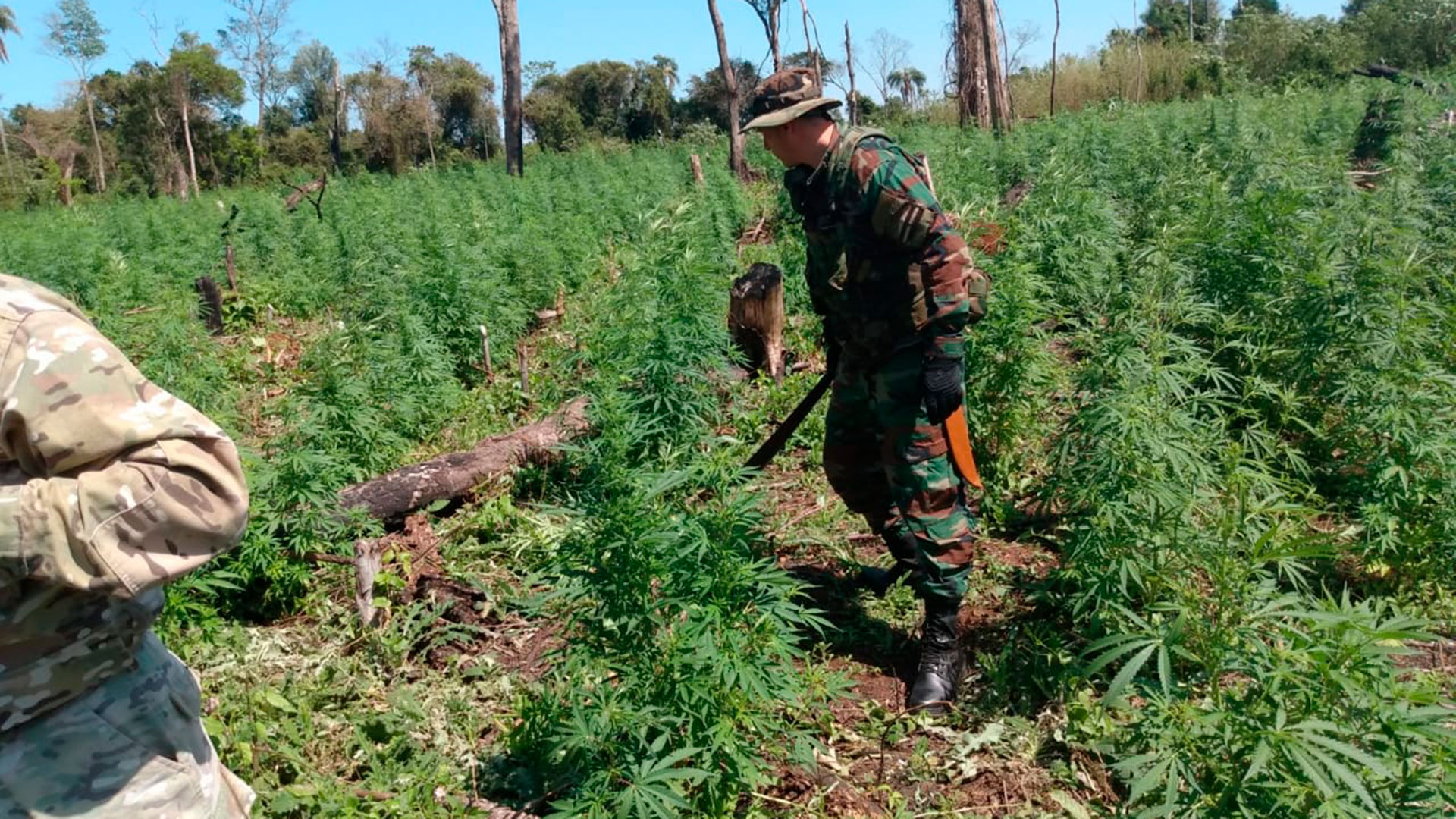 Bajo el nombre Operativo Integración I, la Agencia Federal de Inteligencia (AFI) y la Secretaría Nacional Antidrogas (SENAD) de Paraguay iniciaron el 20 de septiembre un trabajo secreto en los departamentos de Itapúa y Caazapá, en Paraguay