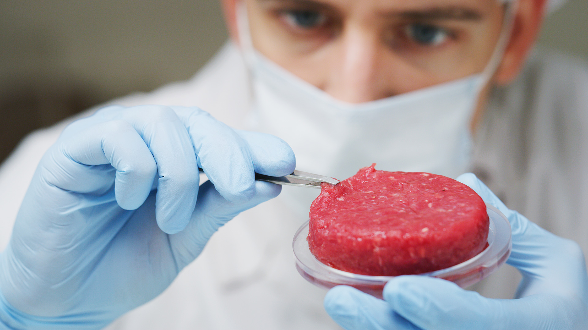 El principal argumento de la agricultura celular es dar una respuesta al crecimiento poblacional y sus necesidades alimentarias (Shutterstock)