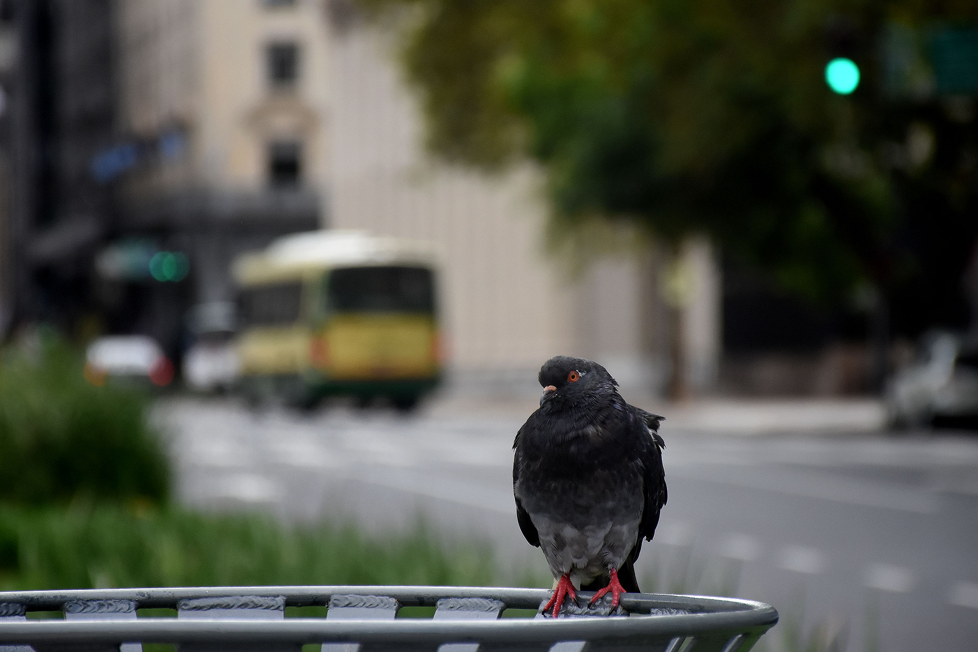 (Foto: Nicolas Stulberg)