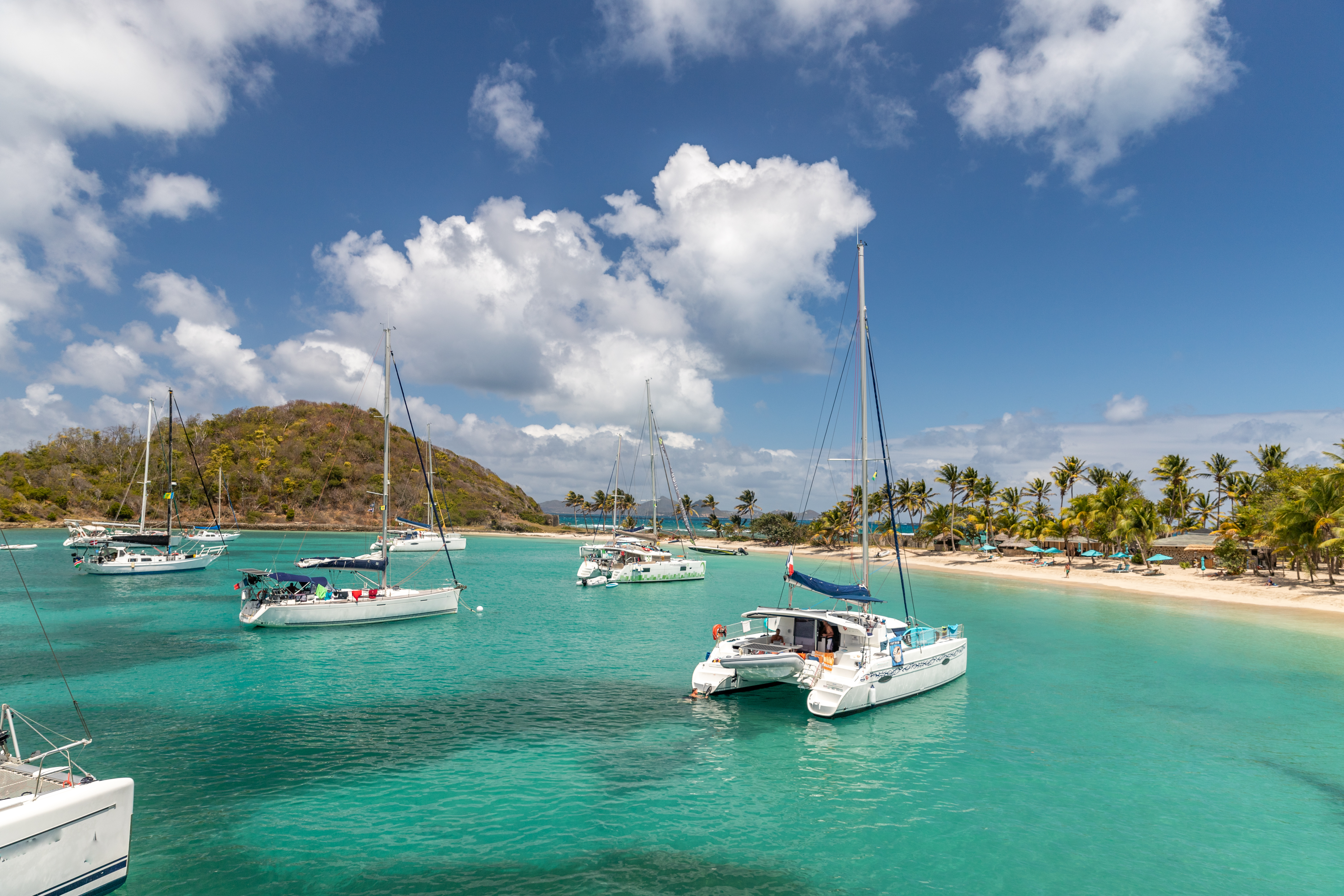 Las palmeras perfectamente espaciadas de Saltwhistle, los árboles de uva marina y los arbustos en flor ofrecen el refugio perfecto del sol del mediodía en la bahía ubicada en la isla habitada más pequeña de Mayreau