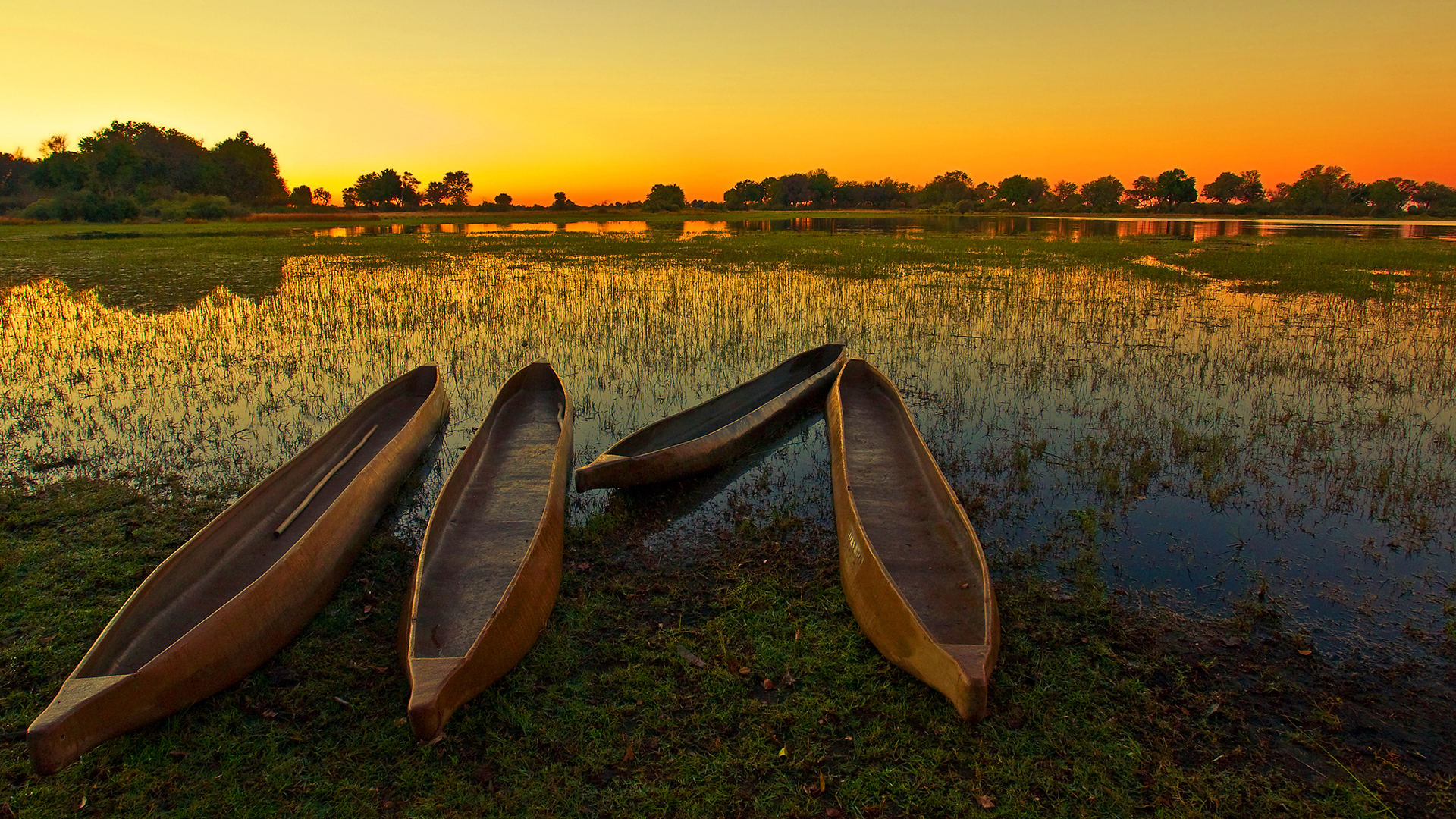 El delta del Okavango en Botsuana habría sido similar a los humedales que rodeaban al ancestral lago Makgadikgadi hace 200.000 años (Shutterstock)