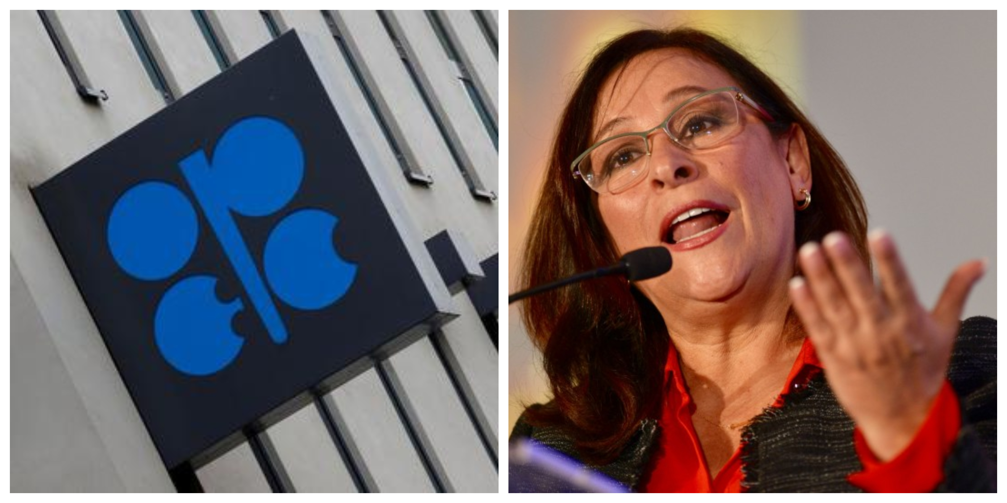 La secretaria de Energía rechazó recortar la producción de 400 mil barriles en el país (Foto: Especial)