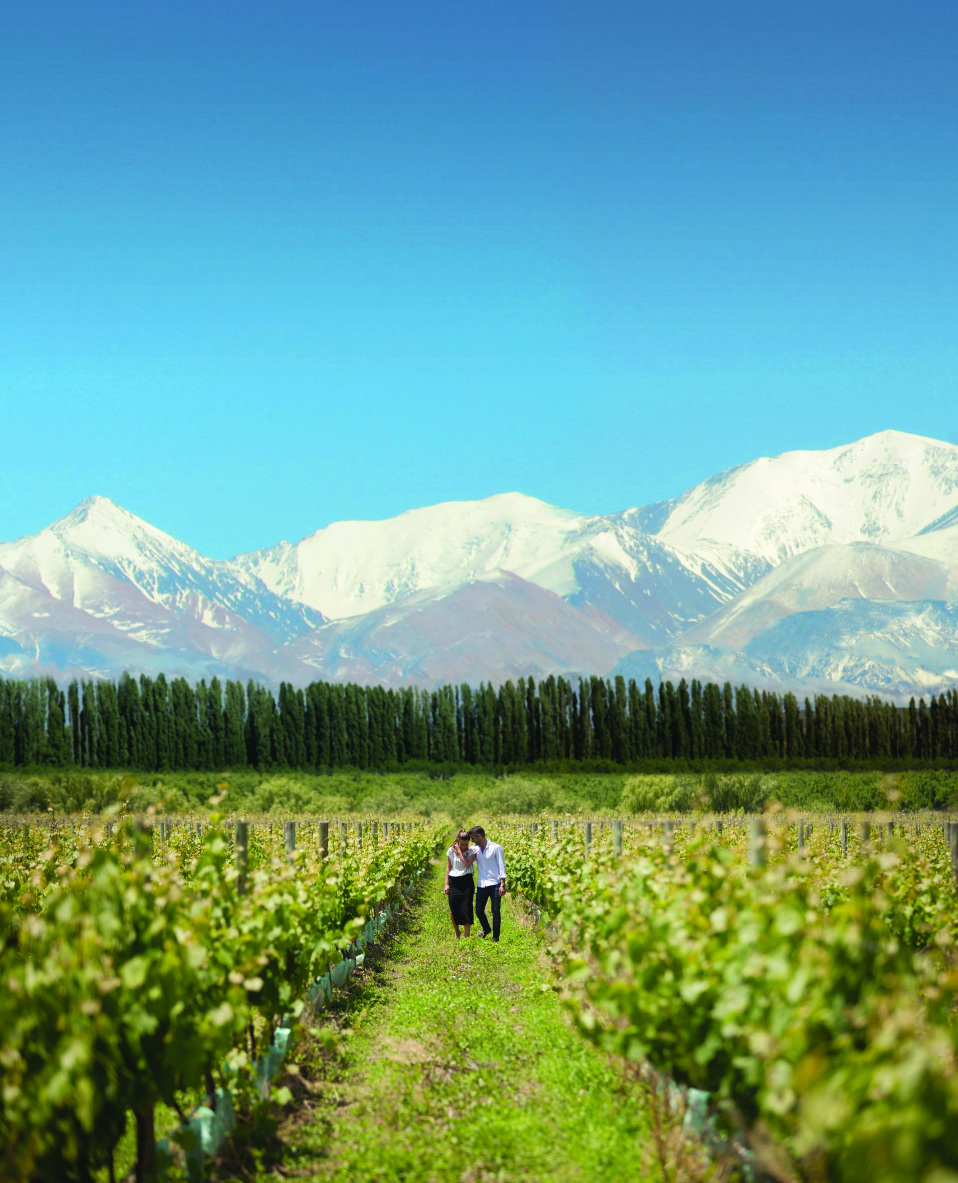 Las bodegas y sabores de Mendoza son perfectos para los enamorados