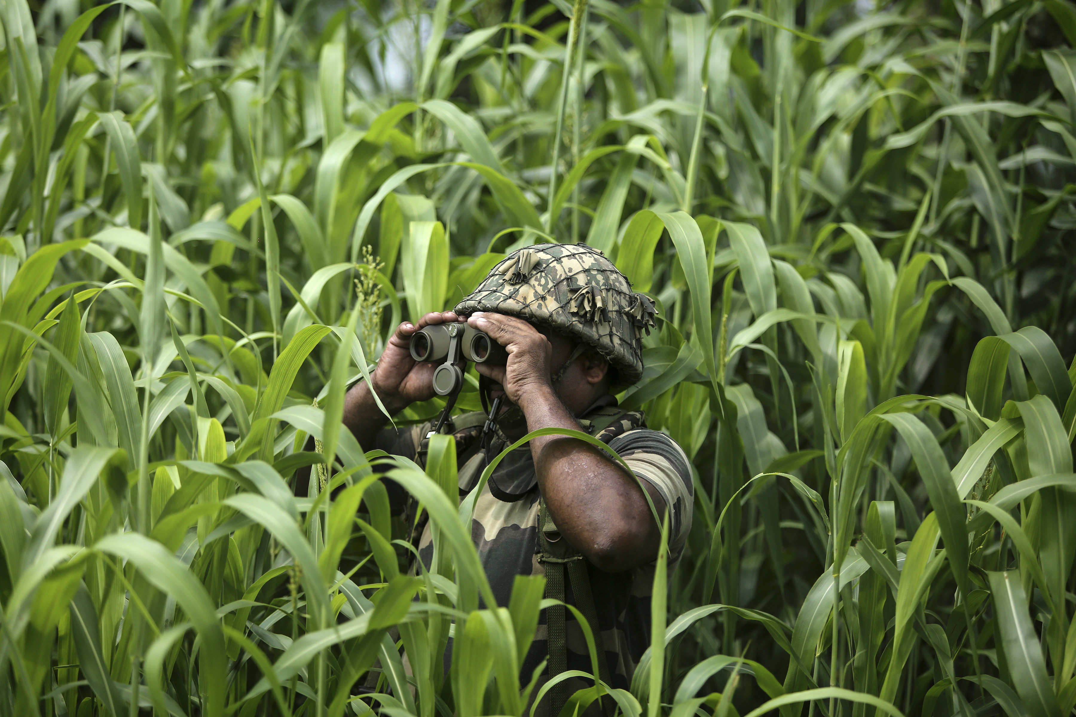 Un soldado de la Fuerza de Seguridad Fronteriza de la India (BSF) vigila cerca de la frontera entre India y Pakistán en Garkhal en Akhnoor, a unos 35 kilómetros (22 millas) al oeste de Jammu, India, el 13 de agosto de 2019. (Foto AP / Channi Anand)