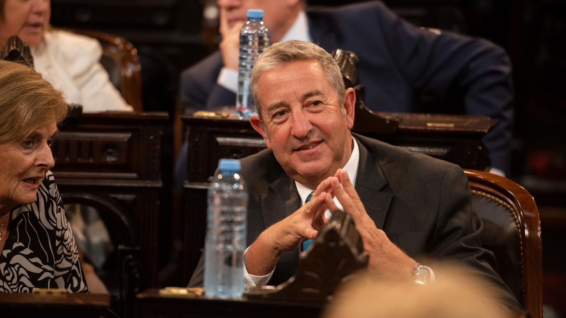 El senador nacional Julio Cobos