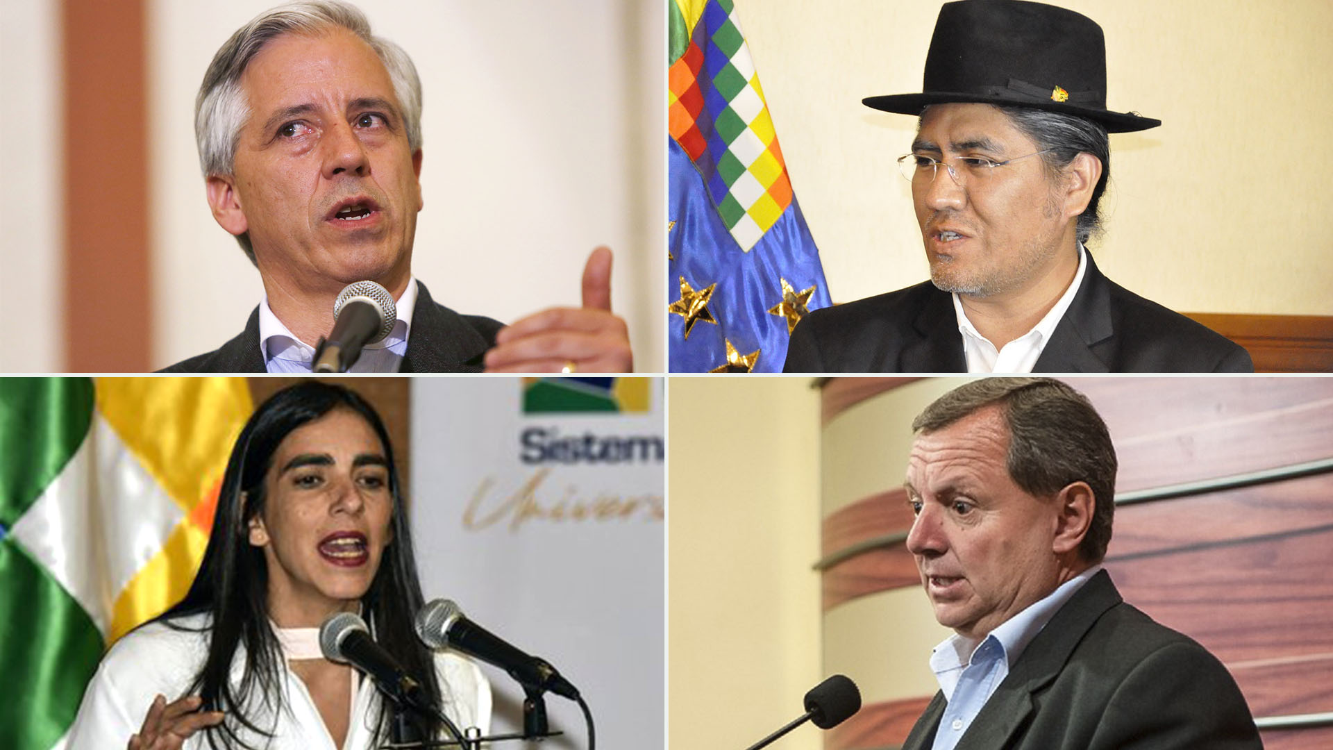 Álvaro García Linera, Diego Pary Rodríguez, Gabriela Montaño y José Alberto Gonzáles llegaron junto a Evo Morales a Buenos Aires