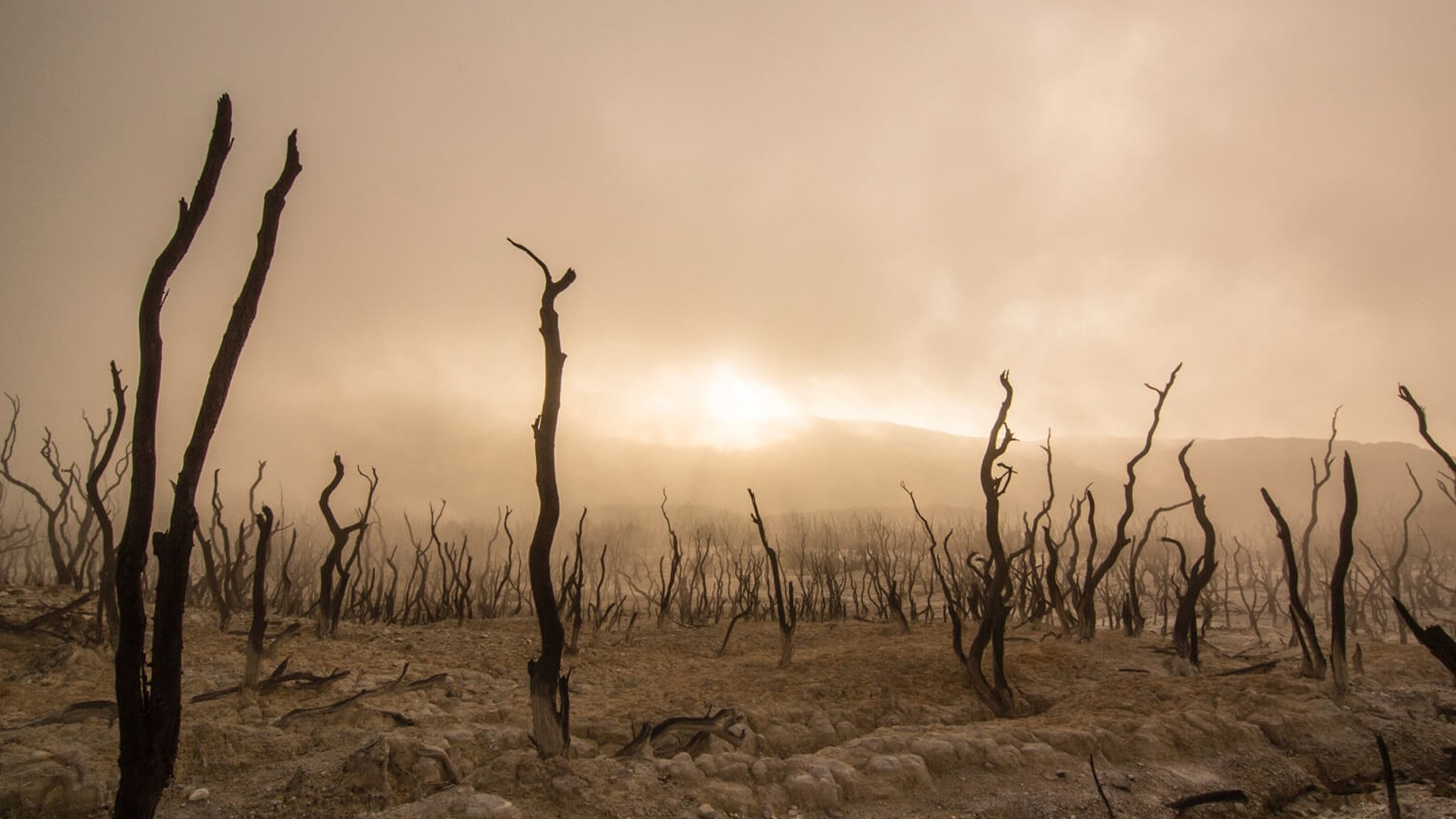 En 2019, hubieron pocos avances en la lucha contra el cambio climático. Foto: Archivo DEF.
