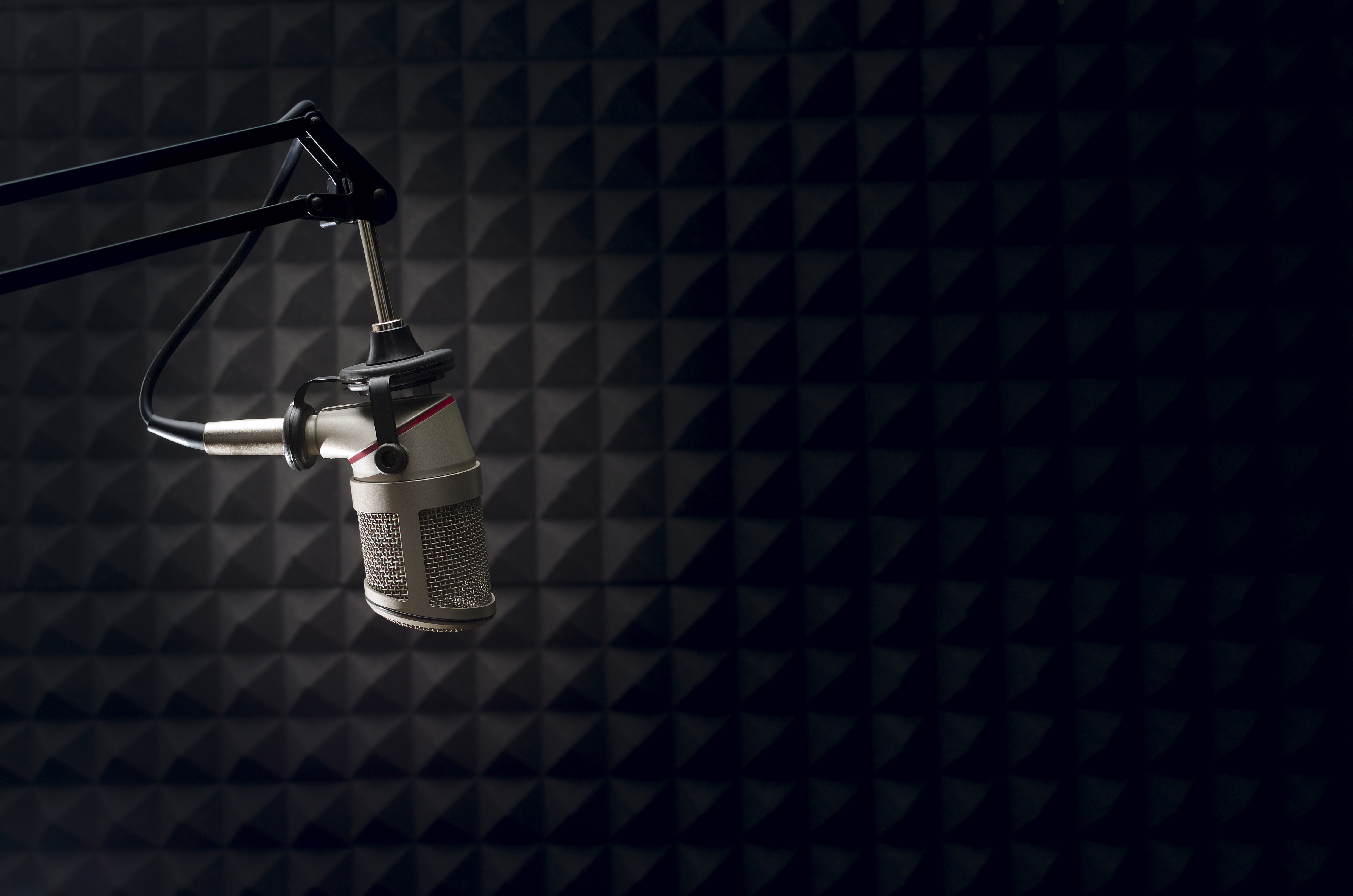 La historia de Florencia, la de sus compañeros y la del crecimiento de Radiarte están contadas con detalle y emoción por el periodista y escritor Héctor Yudchak en Somos Capaces (Lugar) (Shutterstock)