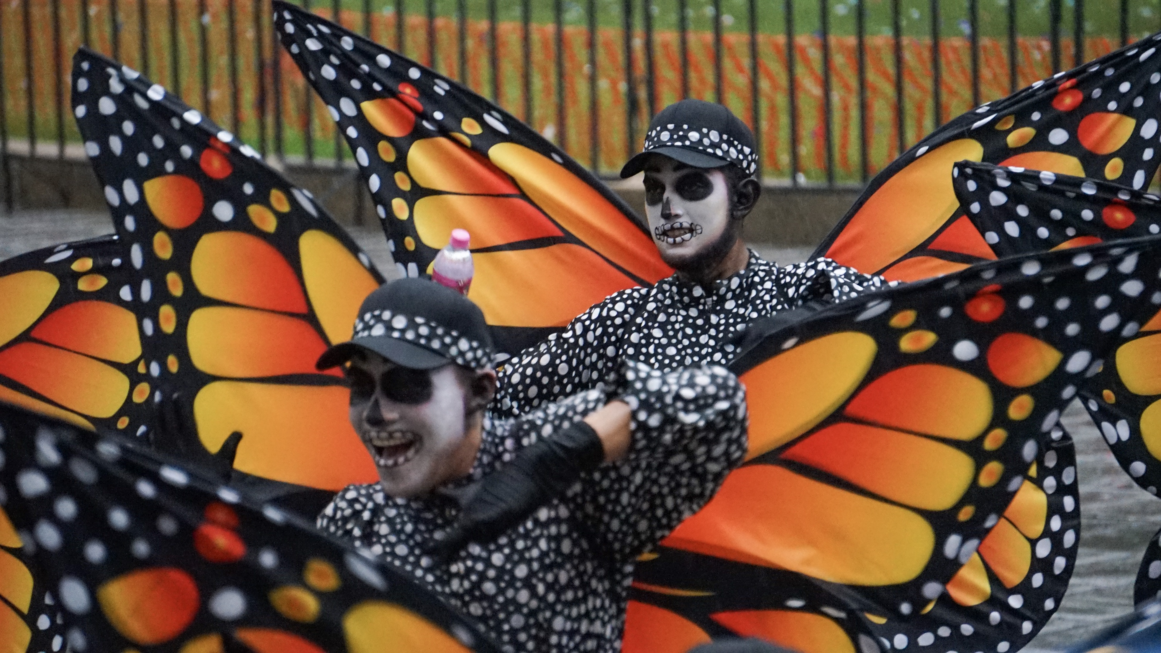 Las mariposas monarcas son un símbolo de México gracias a que se han convertido en un atractivo turístico
