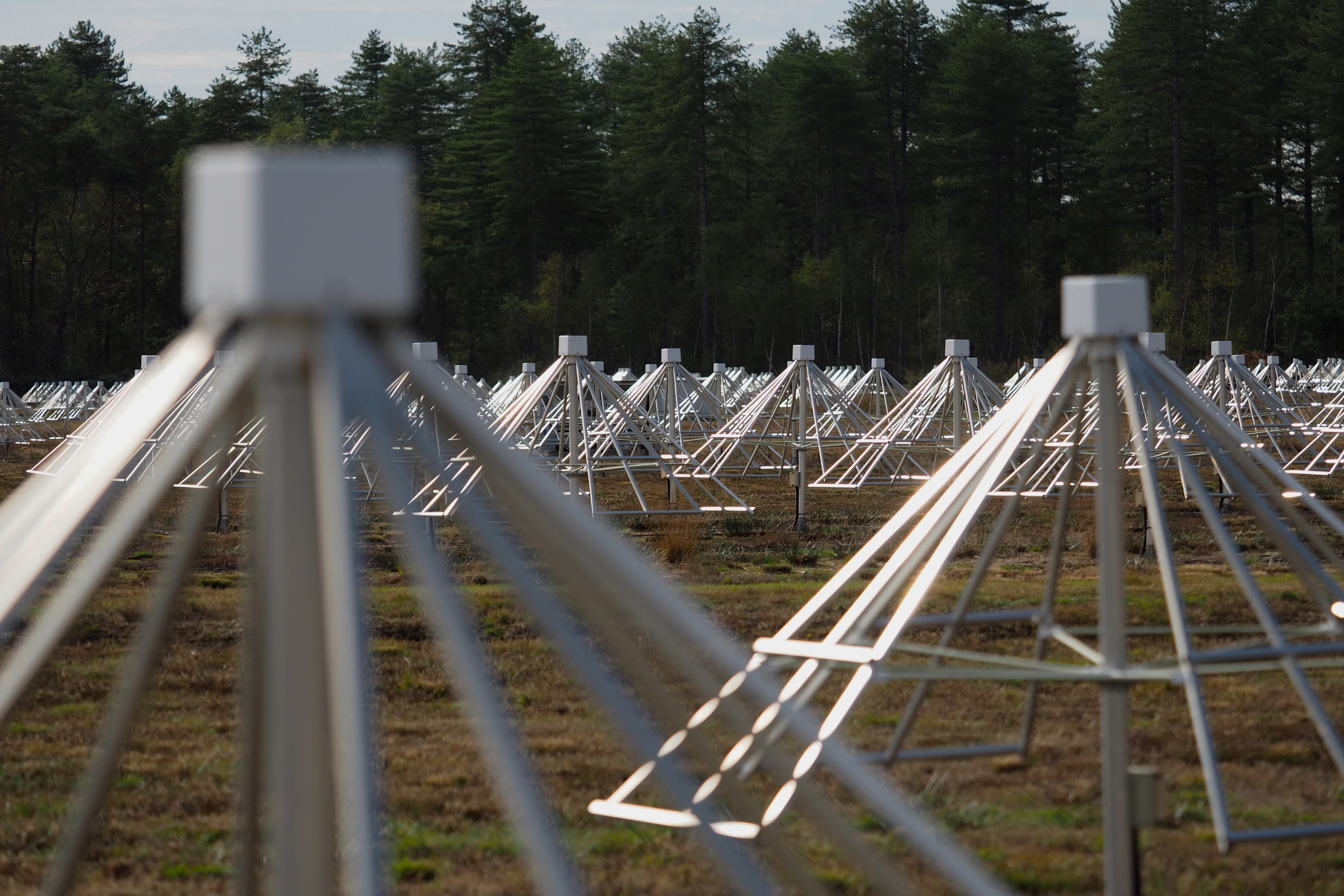 Las antenas se encuentran en la estación radio astronómica de Nançay (Photo by GUILLAUME SOUVANT / AFP)