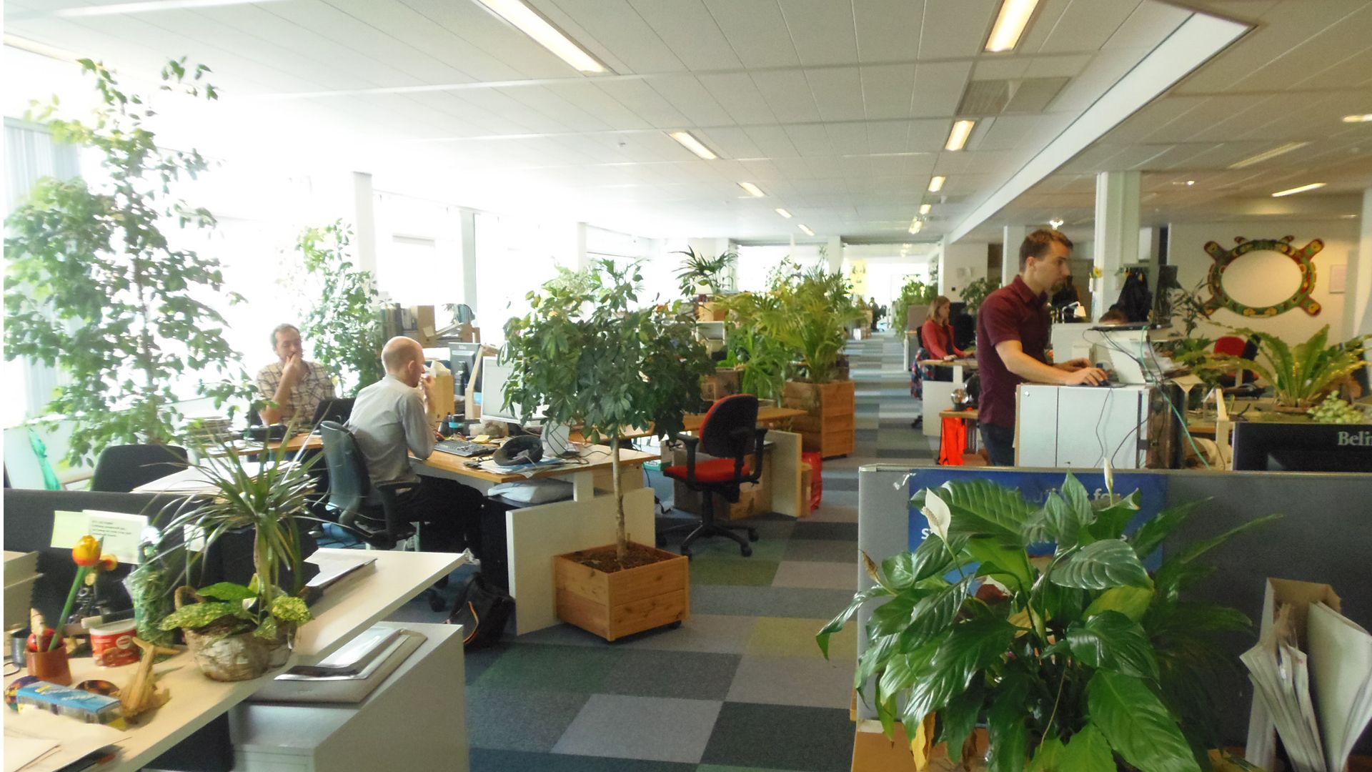 La tendencia apunta a generar estrategias de nivel ambiental para dar cumplimiento a las distintas normativas locales e internacionales. Foto: Archivo DEF.