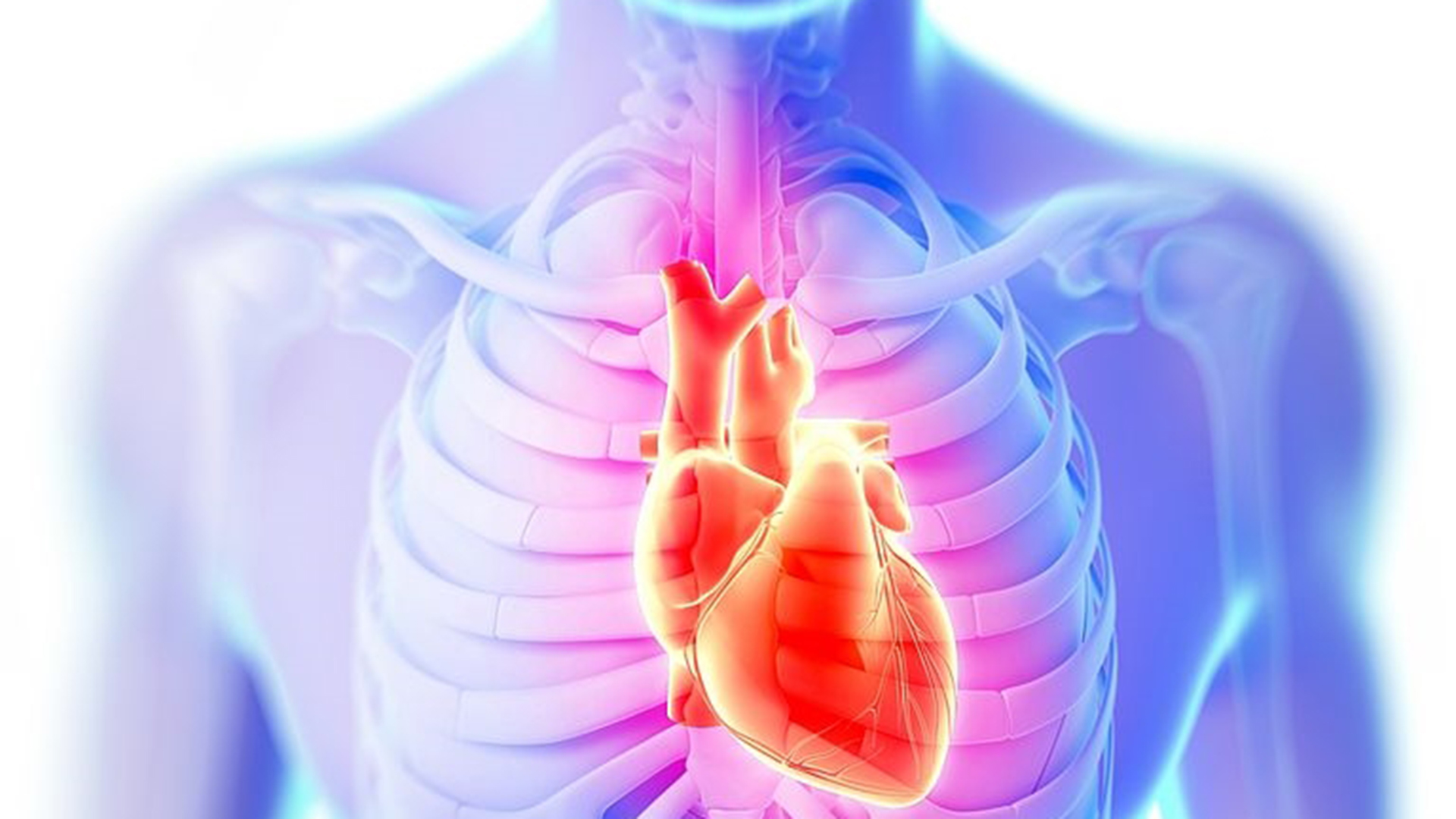 Un documento de la Sociedad Argentina de Cardiología (SAC) recordó cuándo hay que consultar de urgencia ante síntomas cardiovasculares