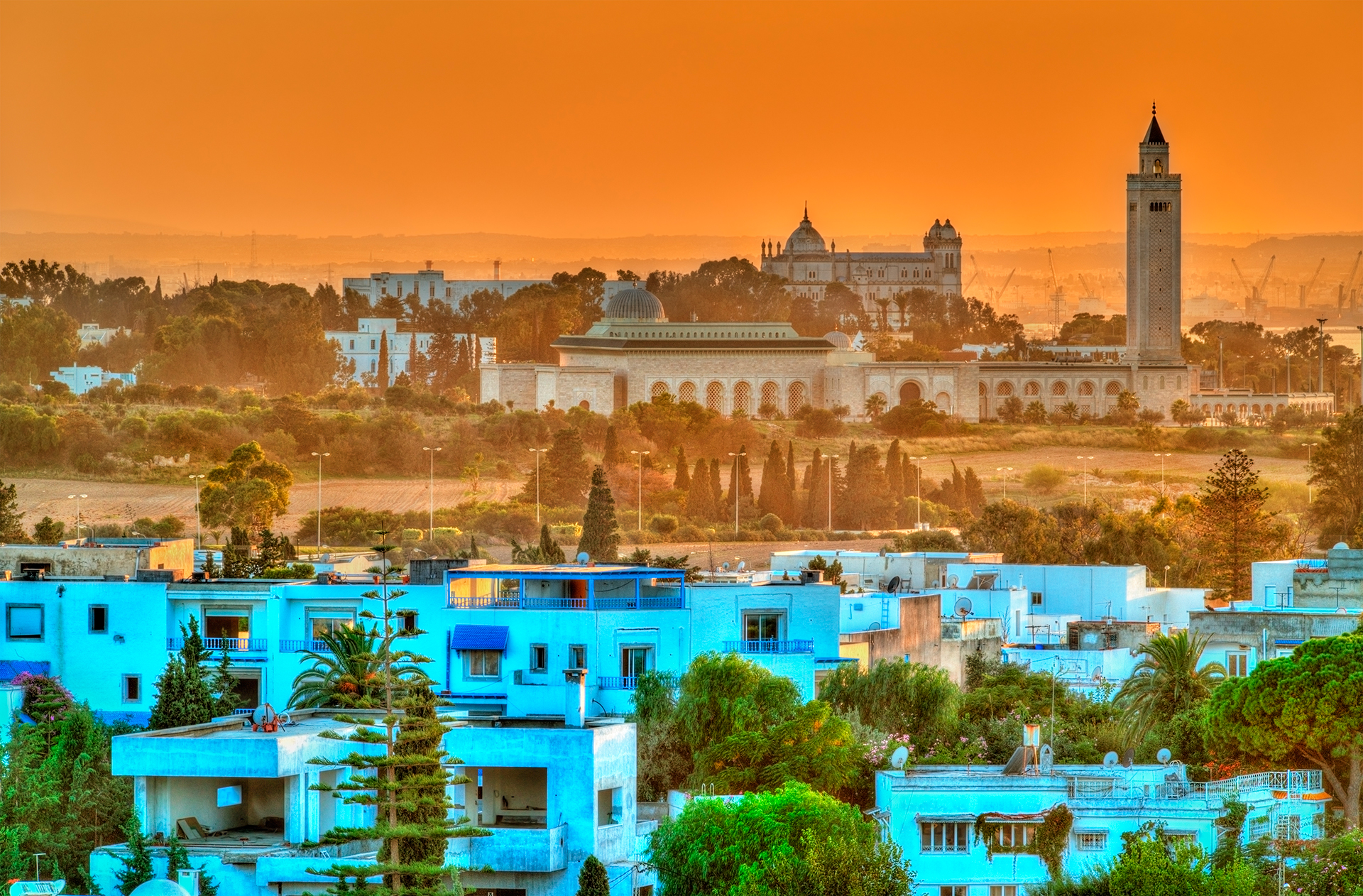 Las idílicas playas de Túnez se complementan con el fondo de color azul y blanco de la ciudad de Sidi Bou Said. Los fanáticos de “Star Wars” también pueden ver las dunas del Sahara donde Luke Skywalker miraba con nostalgia los soles gemelos de Tatooine en “A New Hope”