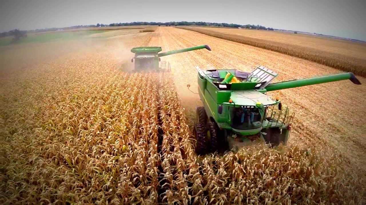 El maíz será uno de los principales cultivos durante esta campaña agrícola