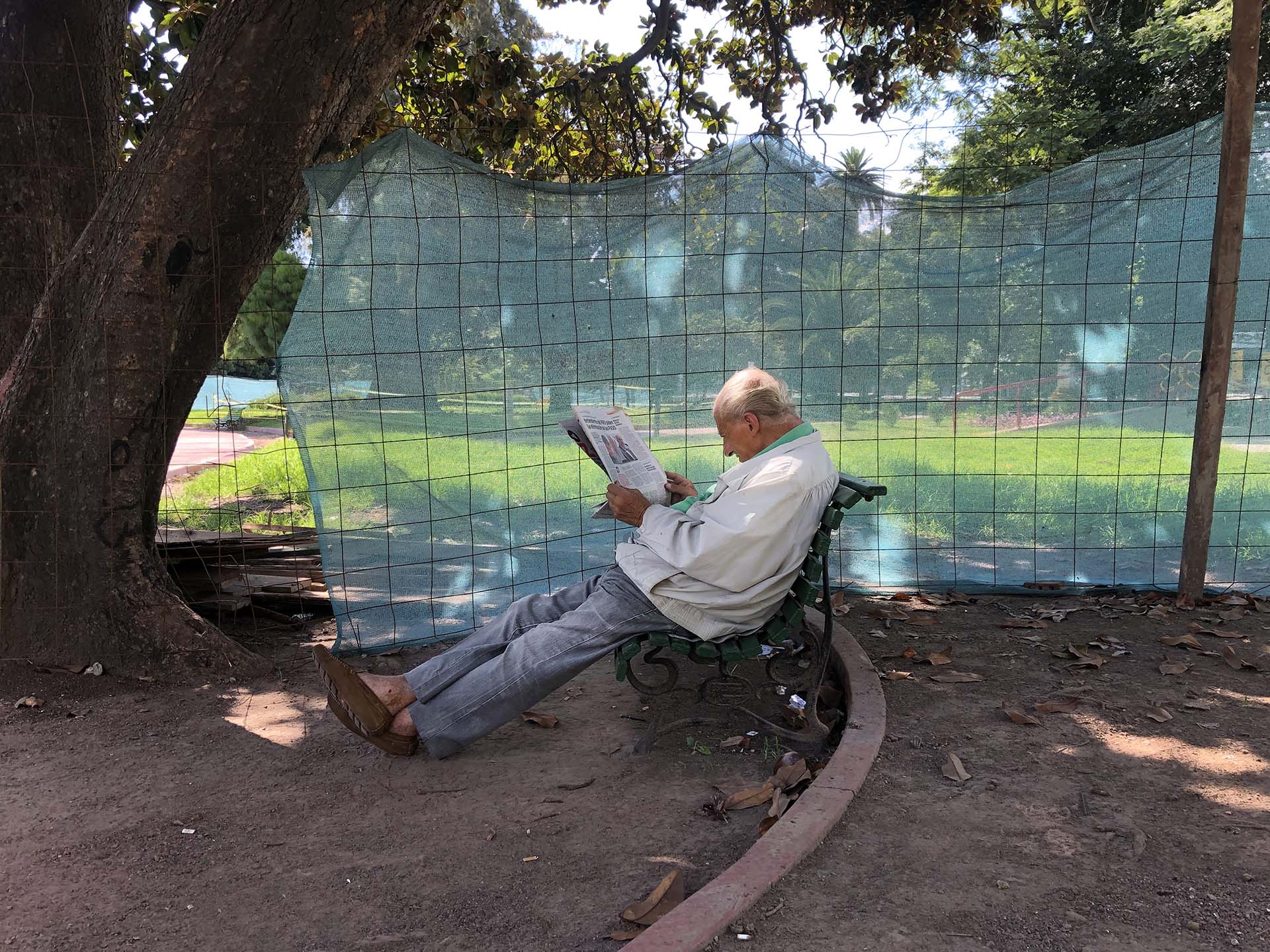 Un hombre leyendo un diario en un domingo de muchísimo calor en febrero de 2019 bajo la sombra de un árbol del Parque Rivadavia. Al artista reflexionó: