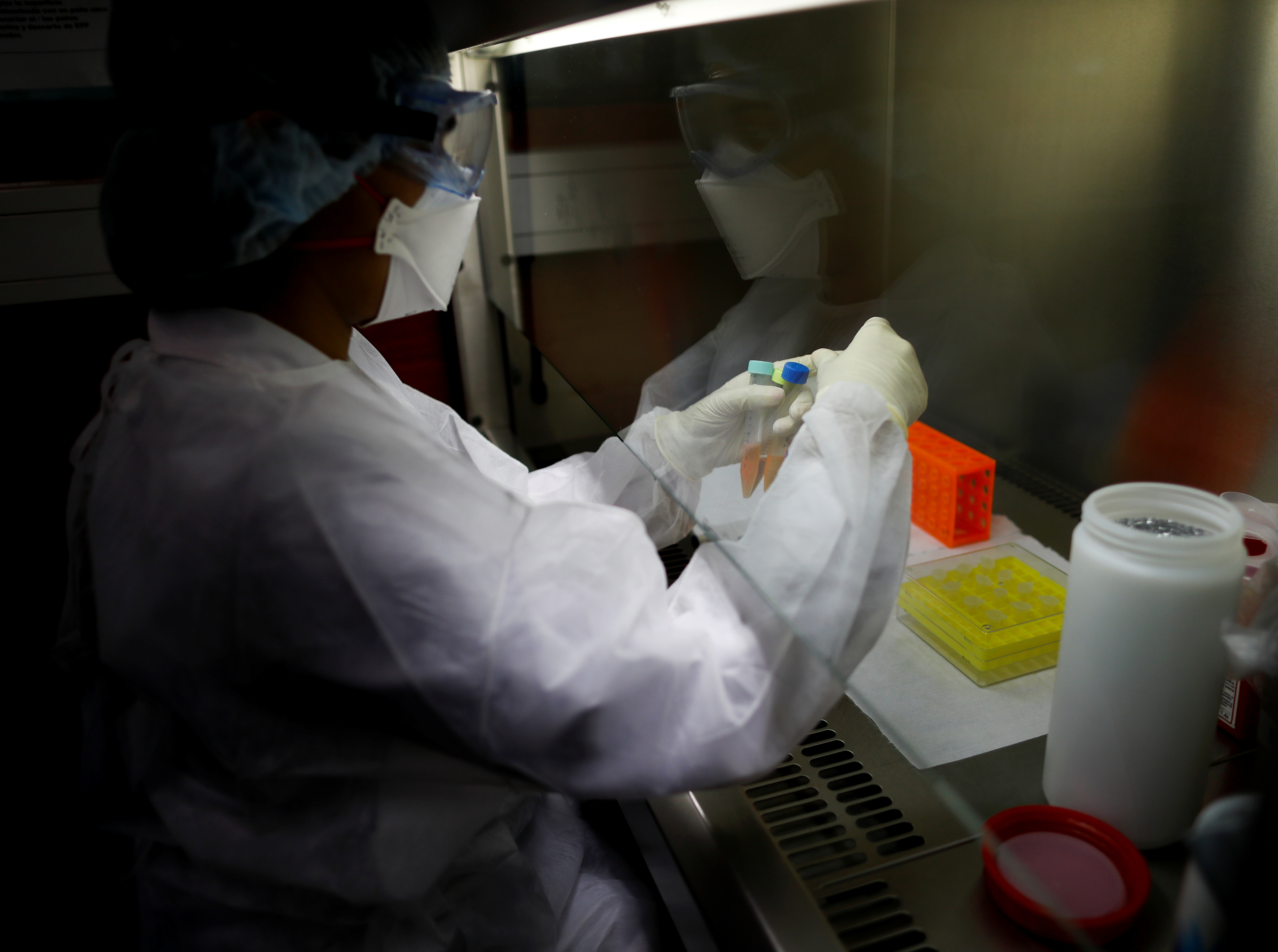 A laboratory technician works with samples during a coronavirus analysis simulation at the Malbran institute in Buenos Aires, Argentina February 29, 2020. Picture taken February 29, 2020. REUTERS/Agustin Marcarian