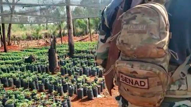 La Secretaría Nacional Antidrogas de Paraguay también fue parte del operativo