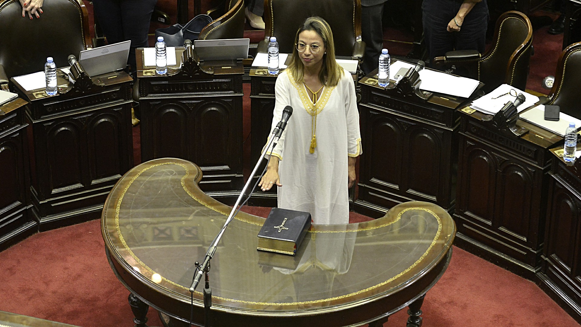 La jura de la diputada Adriana Cáceres, quien reemplazó al ahora intendente de Mar del Plata Guillermo Montenegro