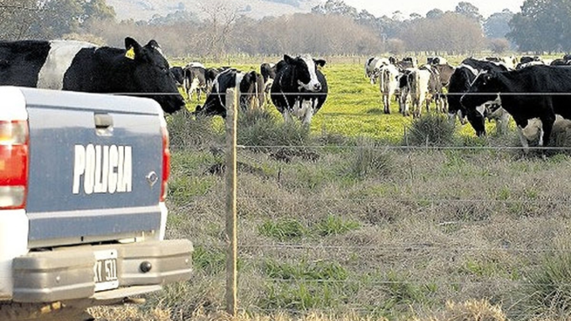 Con el aumento delitos rurales en el sur de la provincia de Santa Fe, los productores reclaman mayor presencia policial y controles bromatológicos