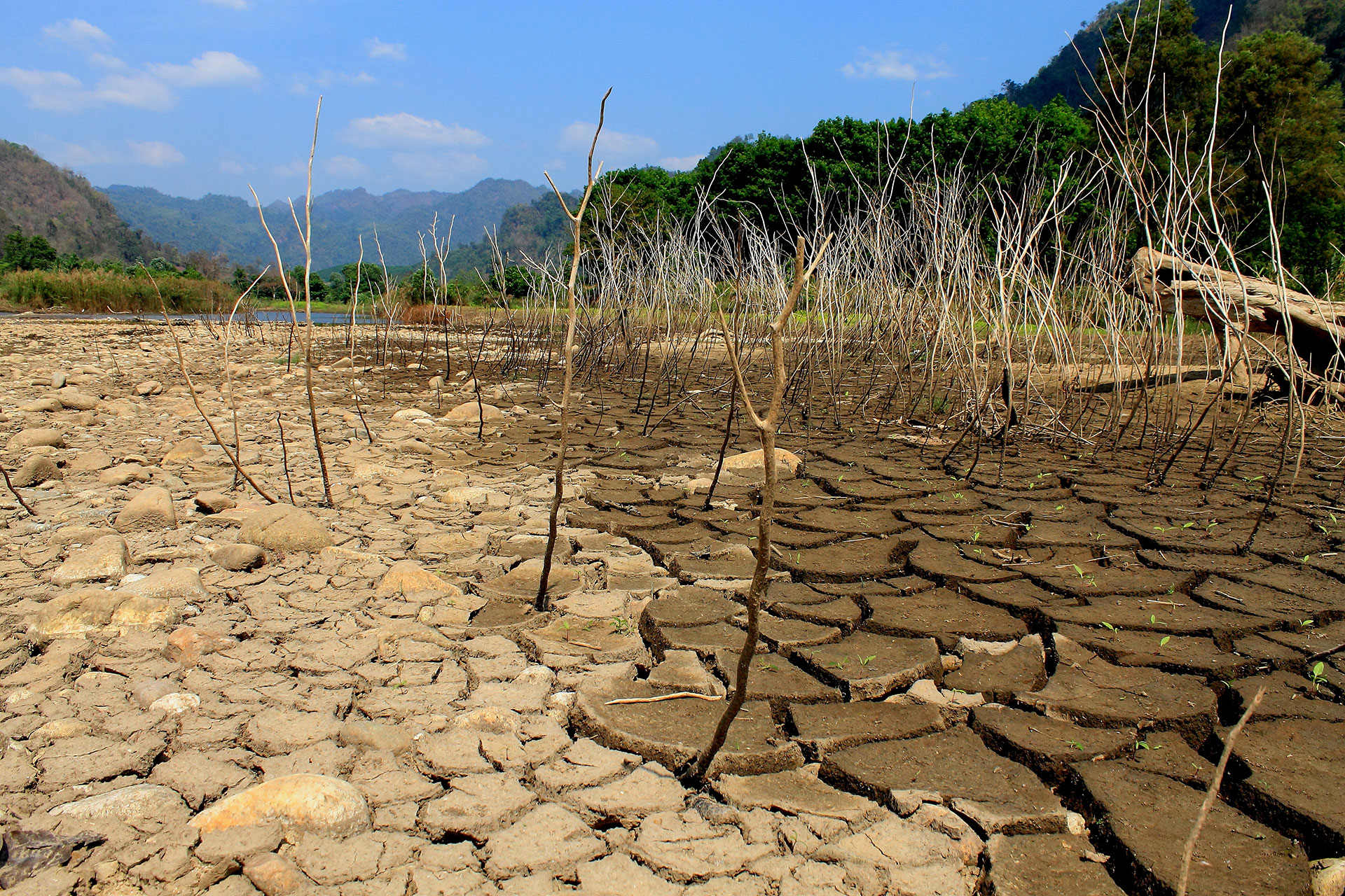 La sequía es un síntoma del cambio climático, así como los recientes incendios en el Amazonas y en Australia, que arrasaron con millones de hectáreas de bosques, pulmones de la Tierra (Shutterstock)