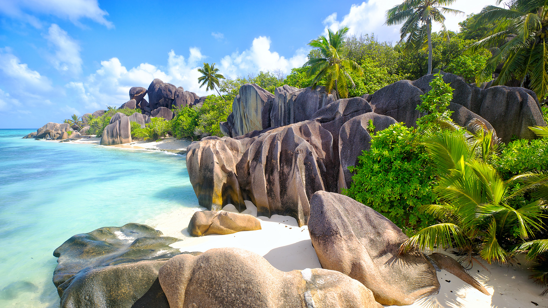 Las tortugas gigantes, los cangrejos de los cocoteros y los loros negros reclaman este idílico archipiélago como hogar, al norte de Madagascar. Las espectaculares formaciones rocosas a lo largo de Anse Source d’Argent en la isla de La Digue compiten con los más de 900 metros de altura de Morne Seychellois en Mahé y los densos bosques tropicales de la isla de Praslin. Y luego están los resorts: North Island con 11 villas de fantasía, se ubican junto a una sensacional lama de arena blanca