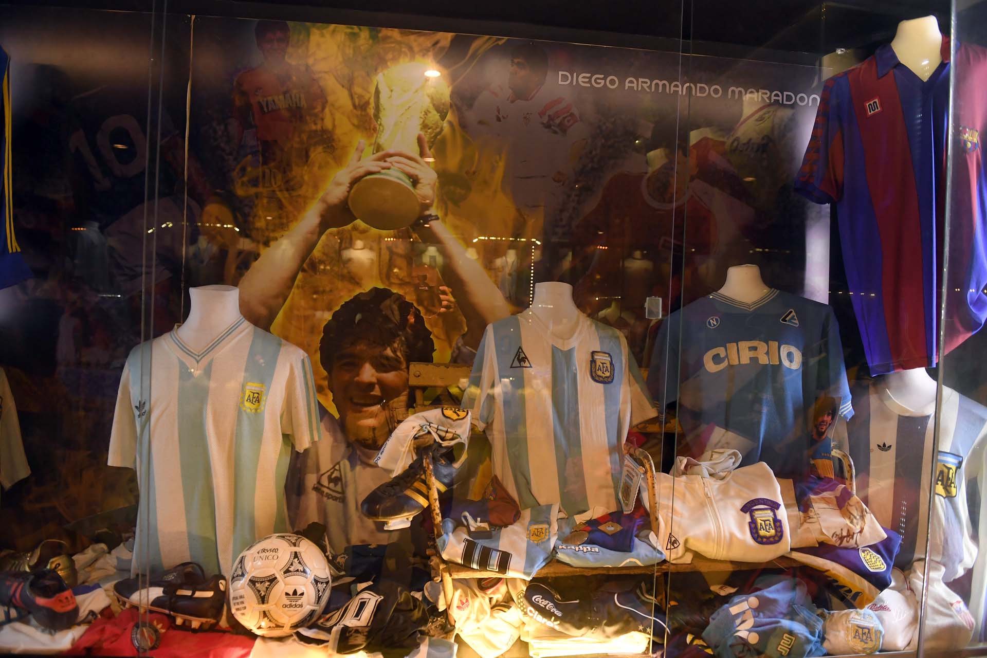 La sección