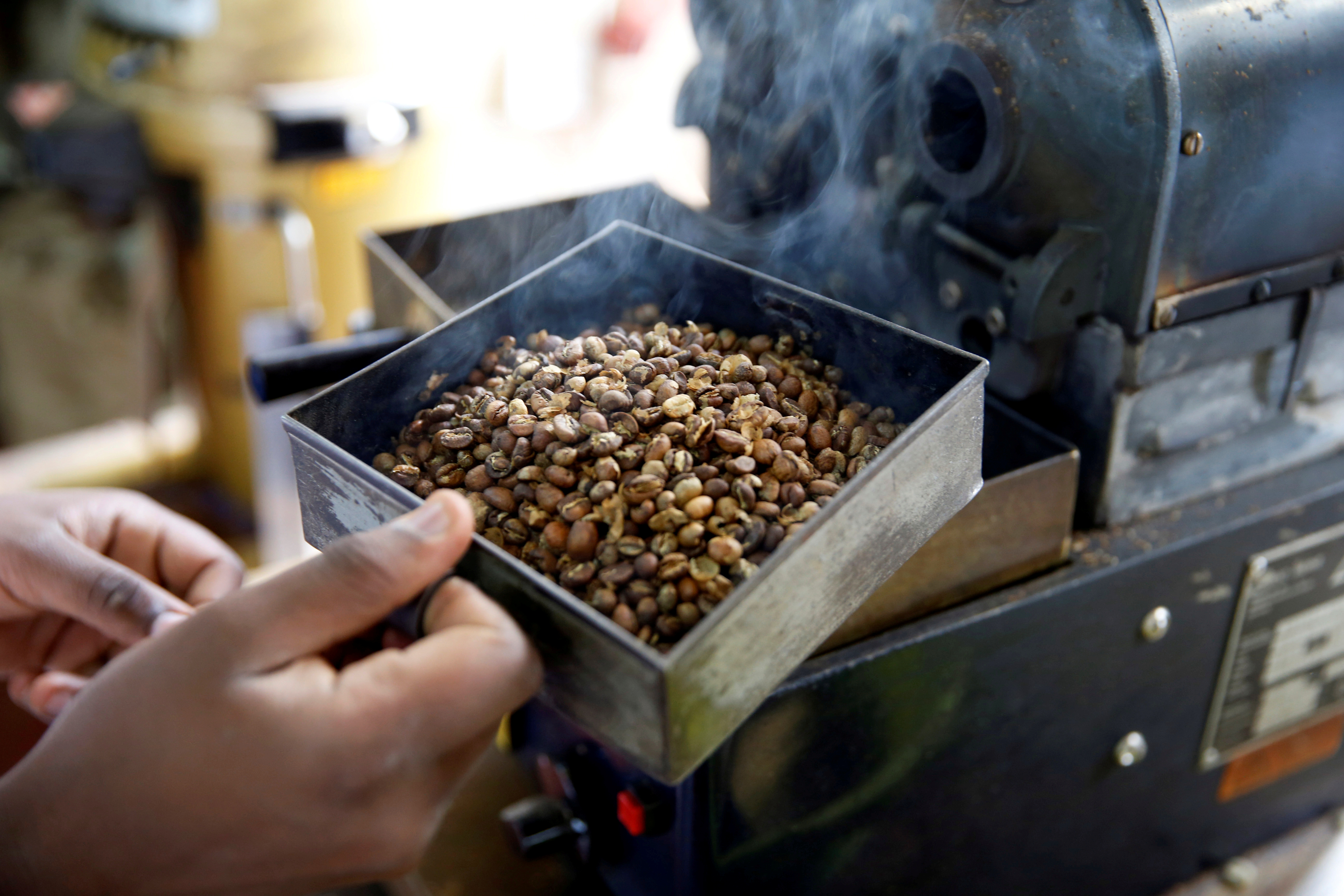 El café es la tercera fuente de ingresos por exportación de Kenia. (REUTERS)