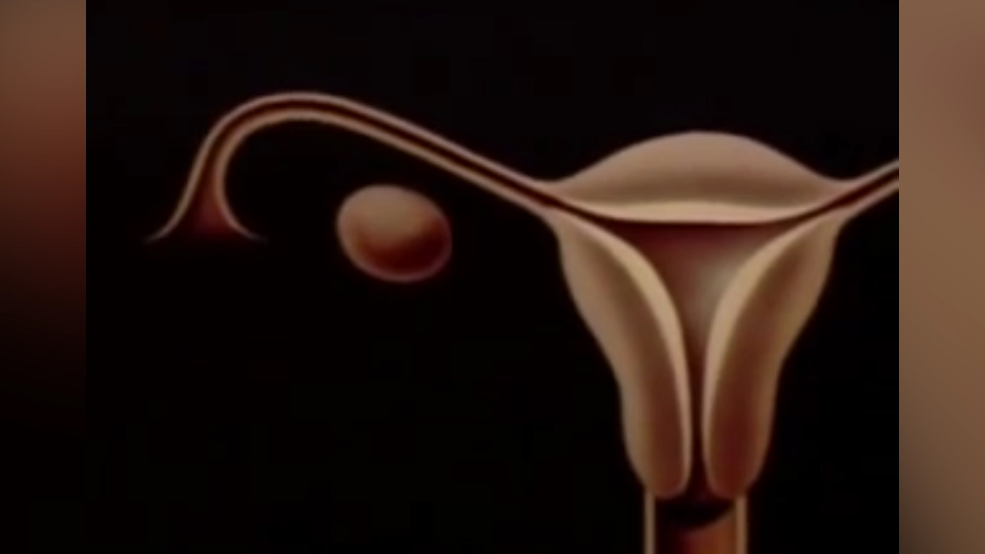 Las pláticas de menstruación están reservadas solamente para las niñas (Foto: archivo)