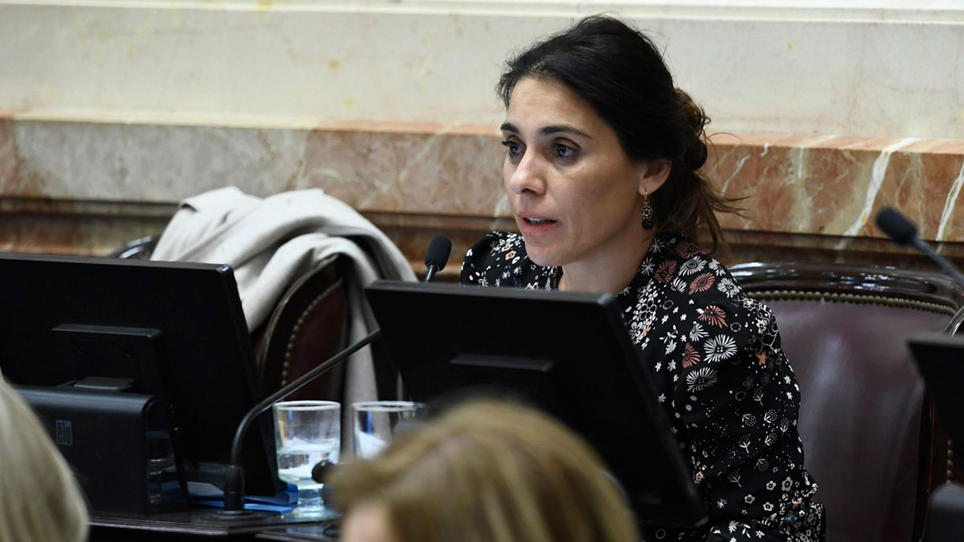 Tras un conflicto con el radicalismo, Lucila Crexell abandonó el bloque de Cambiemos en el Senado