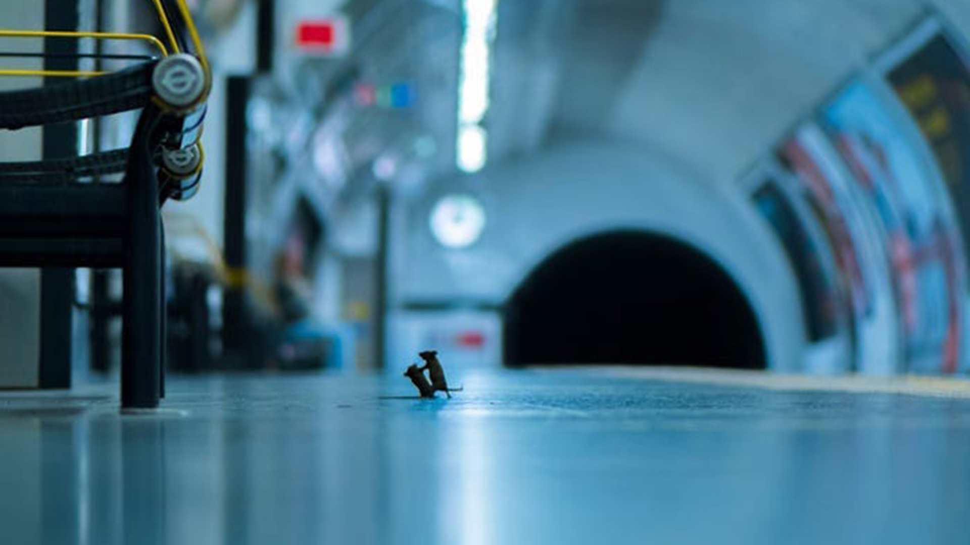 “Station Squabble”, de Sam Rowley