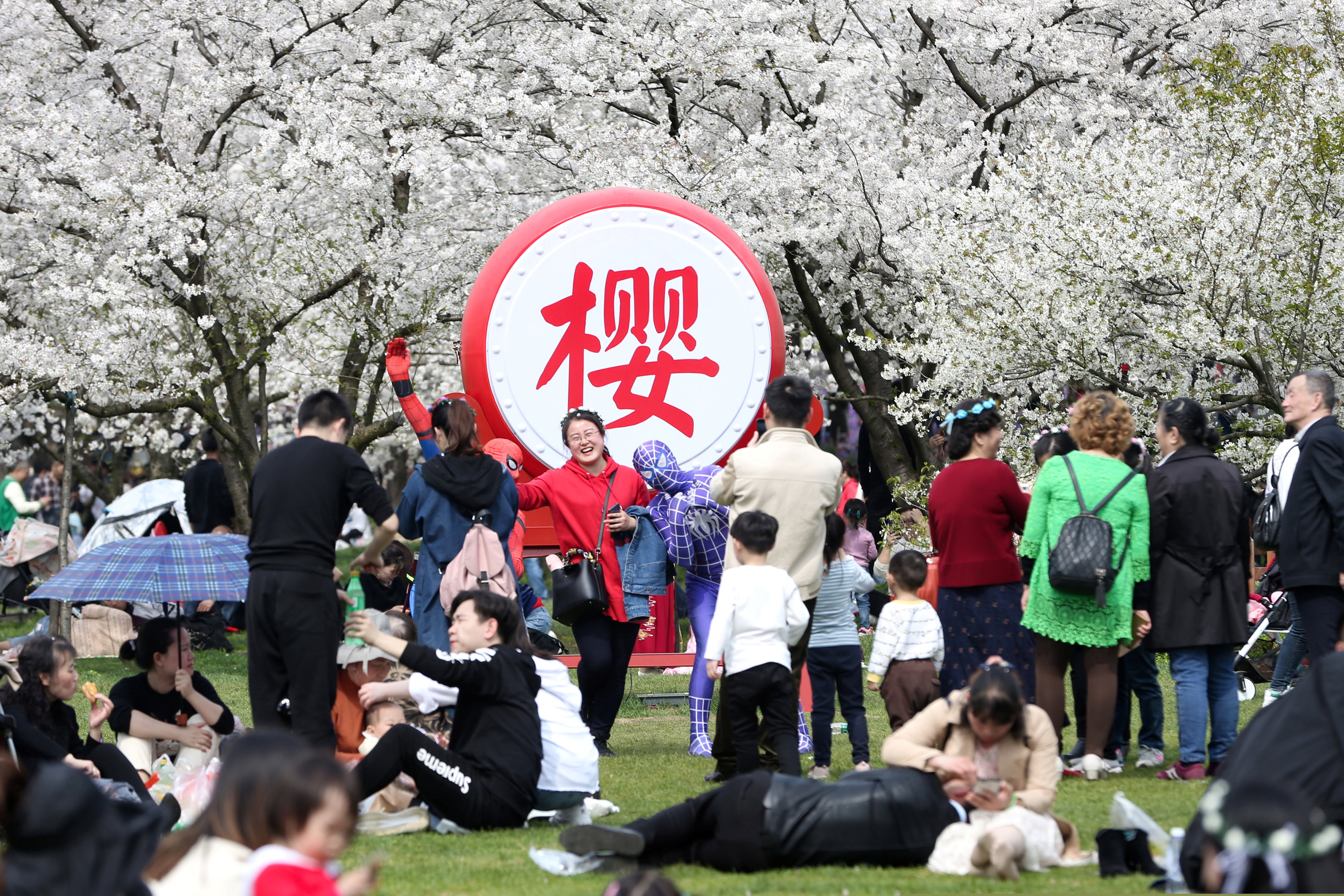 Habitantes de Wuhan visitan el Parque de Cerezos del Lago del Este, antes de la propagación del virus. Ahora están prohibidas las concentraciones de personas (Reuters)