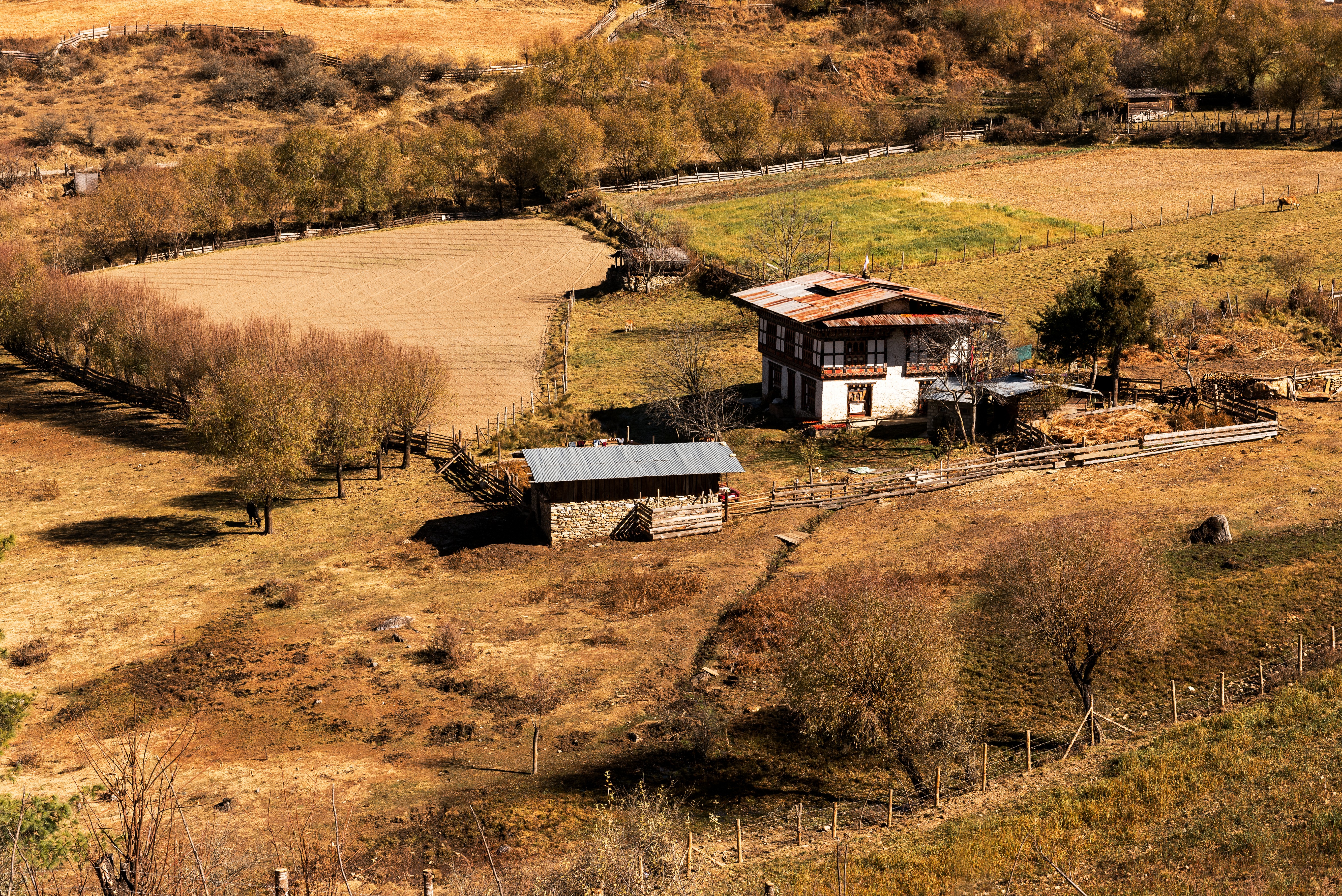 Bután tiene una población de poco más de 800.000 habitantes, de los cuales el 40% viven de la pequeña agricultura y ganadería, alejados de las ciudades