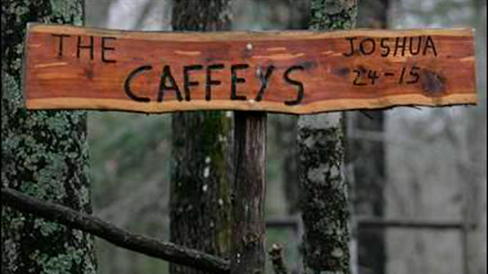 El lugar en el bosque que recuerda donde estaba la casa de los Caffey (AP)