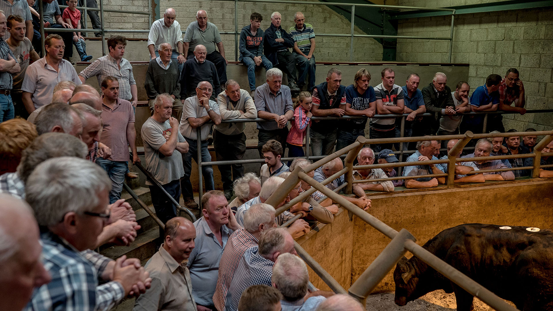 Un mercado de ganado en Enniskillen, Irlanda del Norte. Los legisladores unionistas de Irlanda del Norte se han resistido hasta ahora al acuerdo Brexit de Johnson (New York Times)