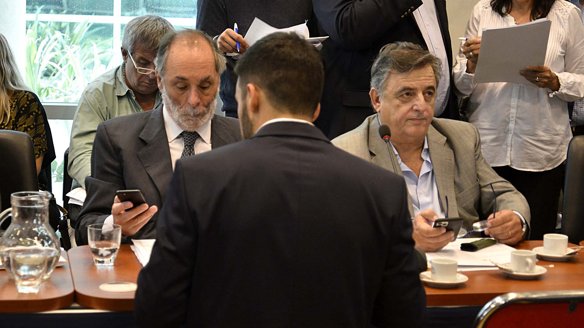 Pablo Tonelli y Mario Negri