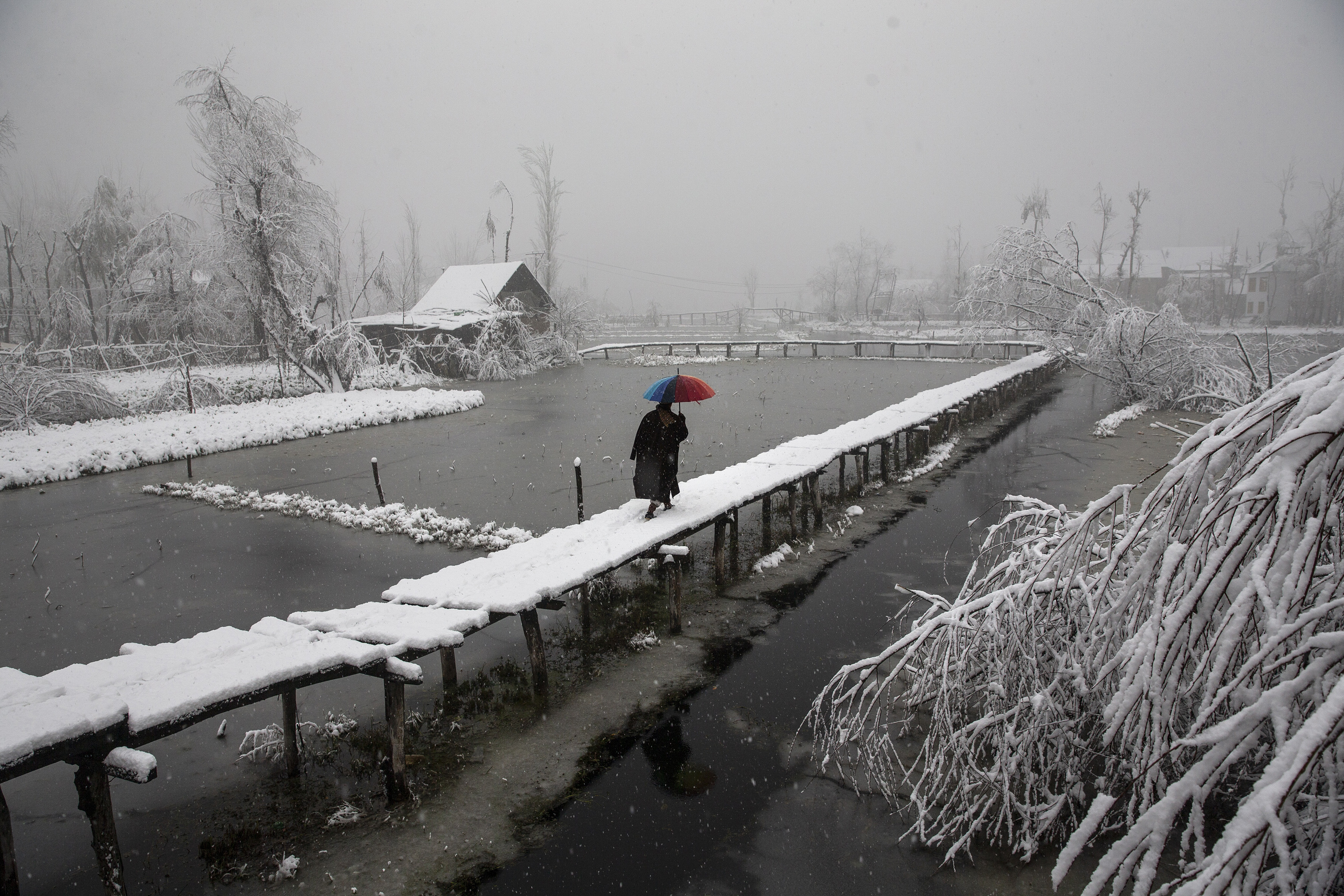 Un hombre de Cachemira camina sobre una pasarela cubierta de nieve mientras nieva en el interior del lago Dal en Srinagar, Cachemira controlada por la India, el 13 de diciembre de 2019. (Foto AP / Dar Yasin)