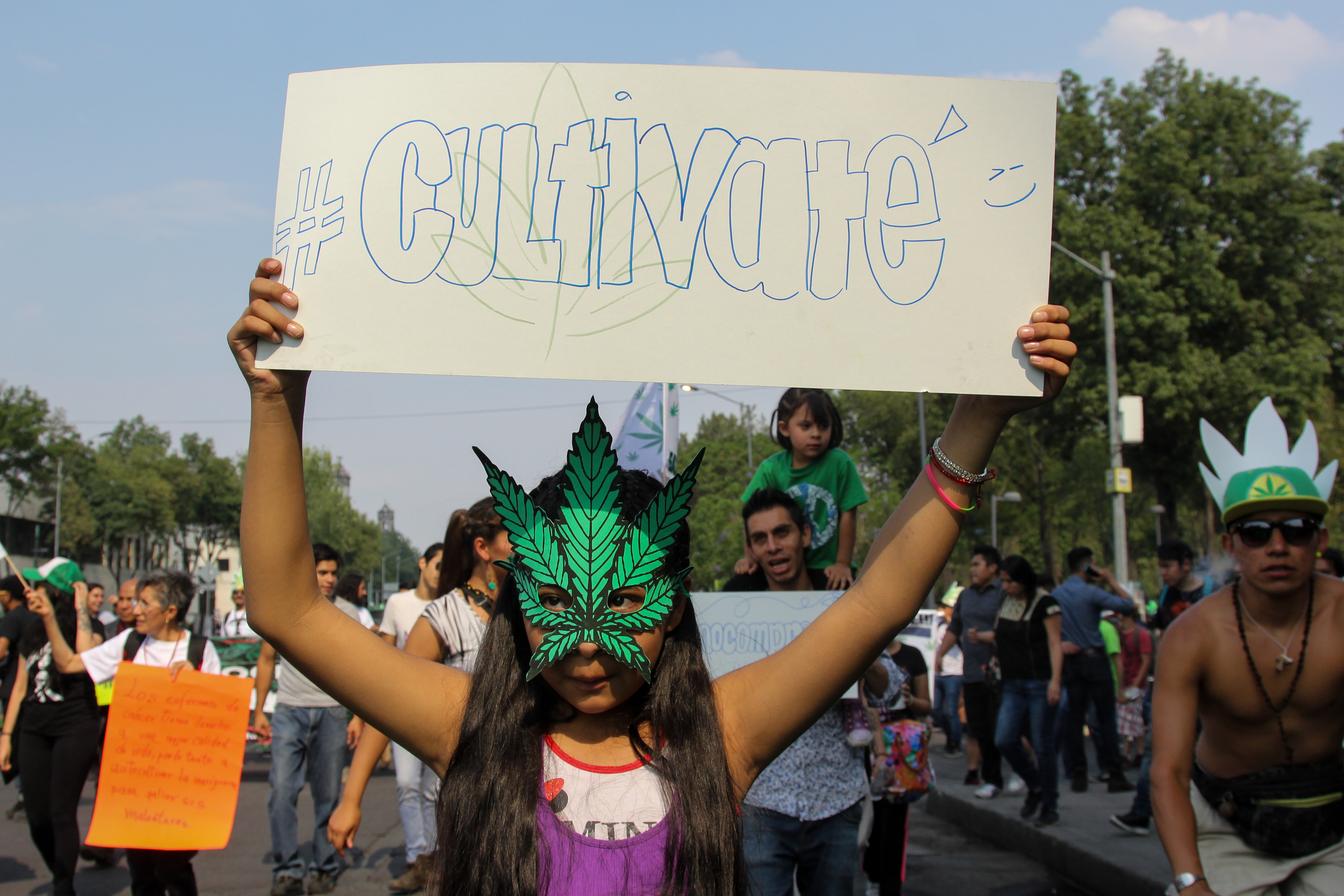 La antepropuesta aumenta los gramos que se pueden poseer por persona y la cantidad de plantas en un solo domicilio (Foto: Galo Cañas/ Cuartoscuro)