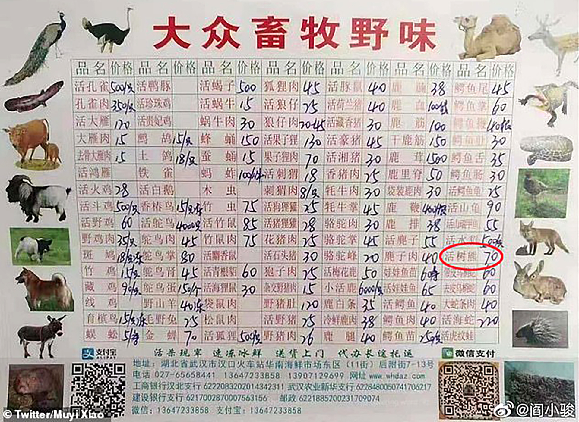 Una lista de precios ofrece hasta koalas