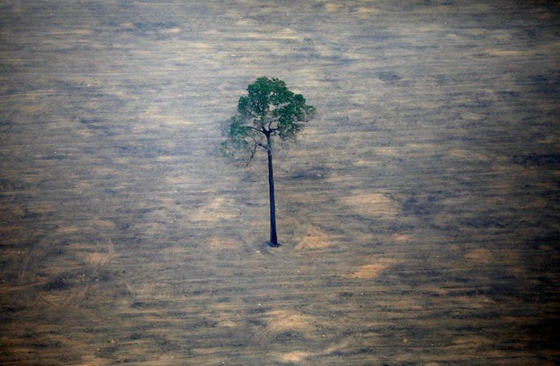 Vista aérea de un lote deforestado del Amazonas en el estado brasileño de Rondonia. FOTO DE ARCHIVO. REUTERS/Bruno Kelly