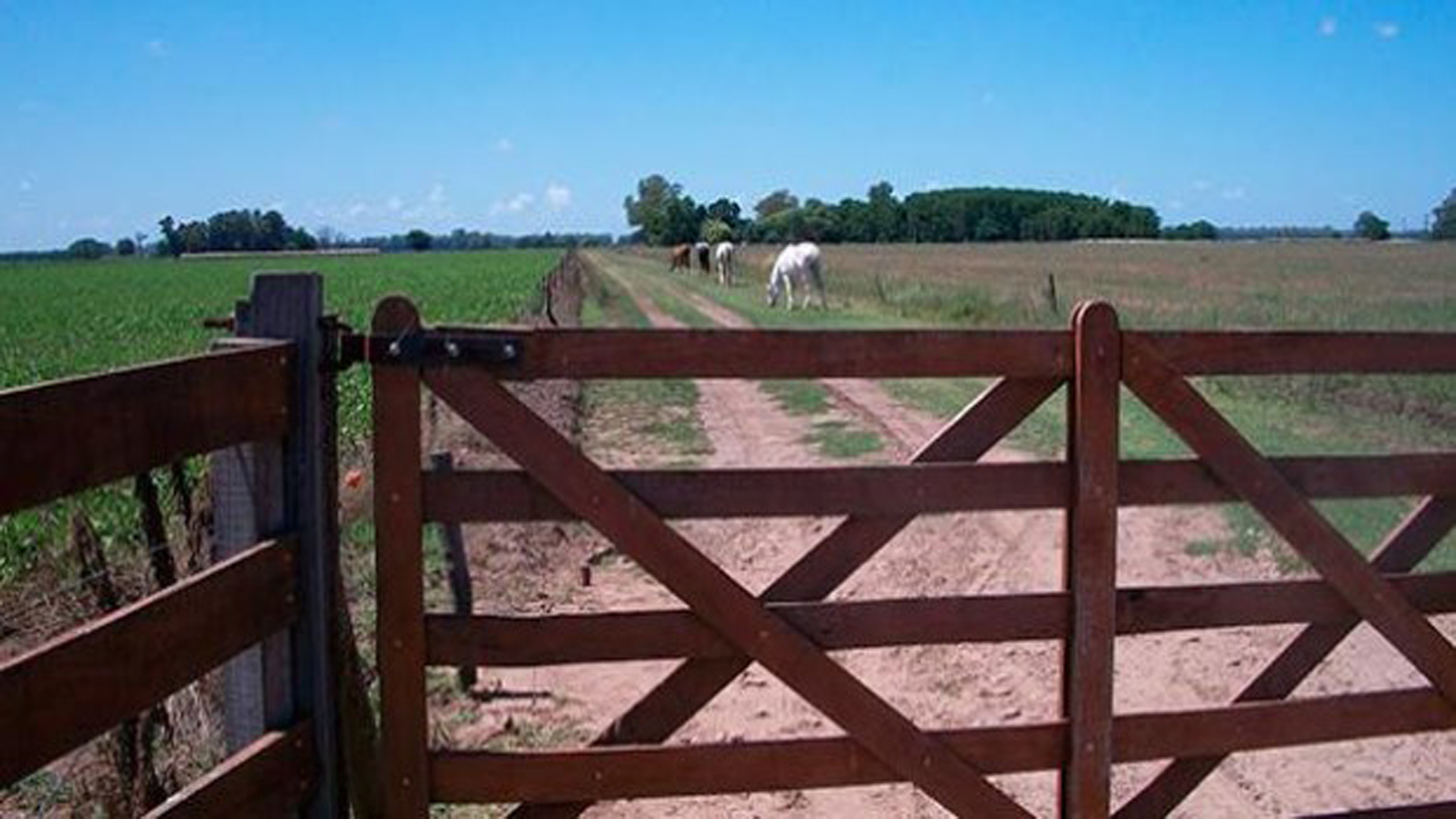 El impuesto rural subirá hasta 75% cuando las valuaciones sean superiores a $3 millones y la superficie de más de 2.000 hectáreas.