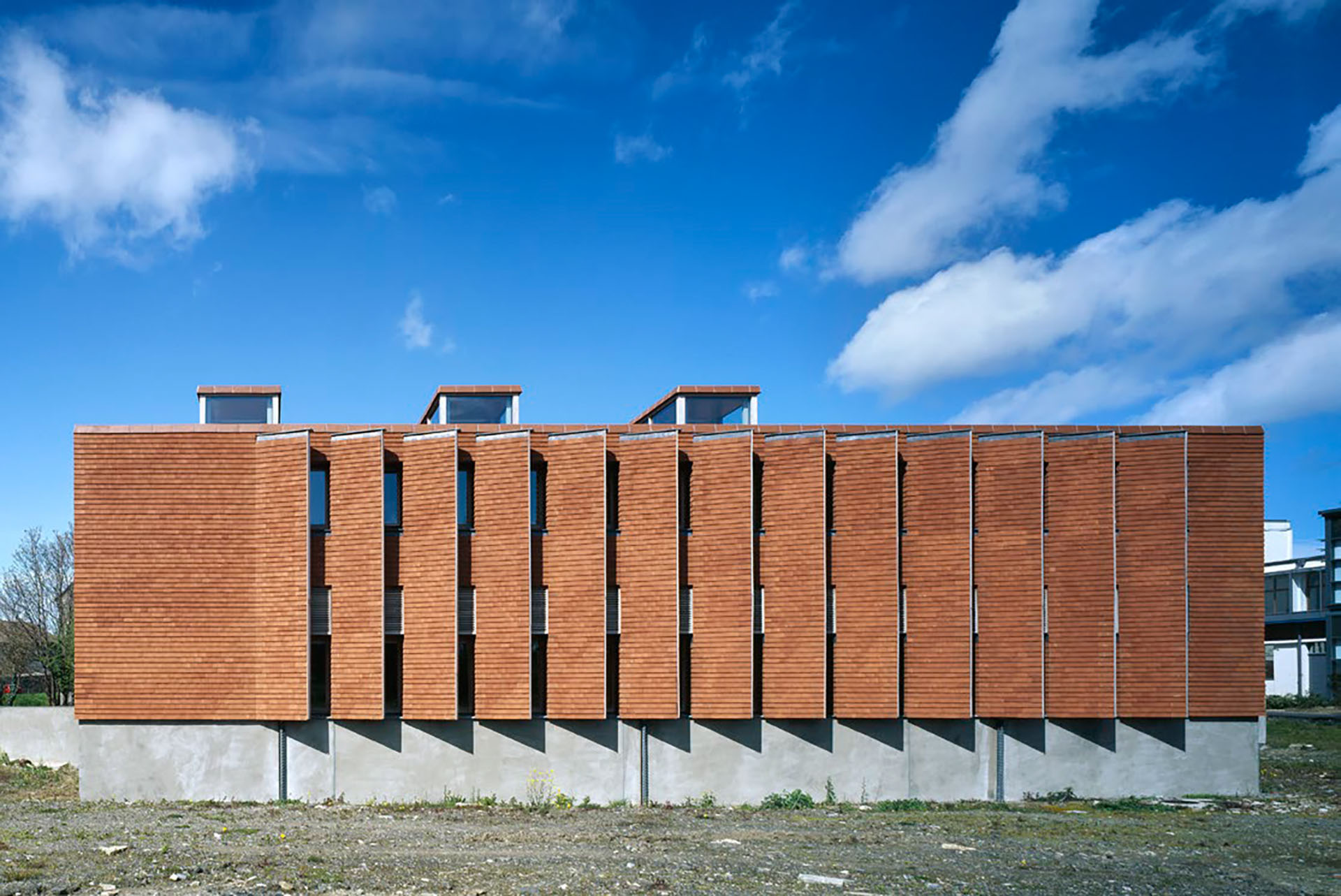 Instituto Urbano de Irlanda (Ros Kavanagh via Pritzker Prize)