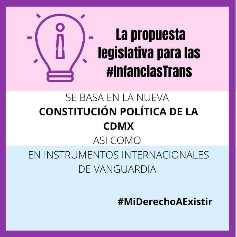 (Imagen: Colectivo TRANSinfancia)