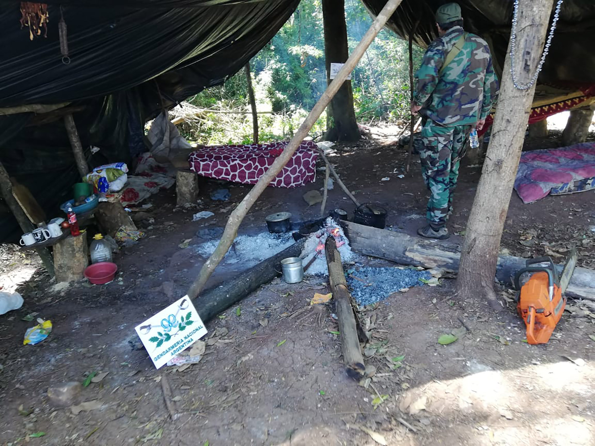 Bajo el nombre Operativo Integración I, se descubrieron plantaciones y se destruyeron campamentos dedicados al narcotráfico